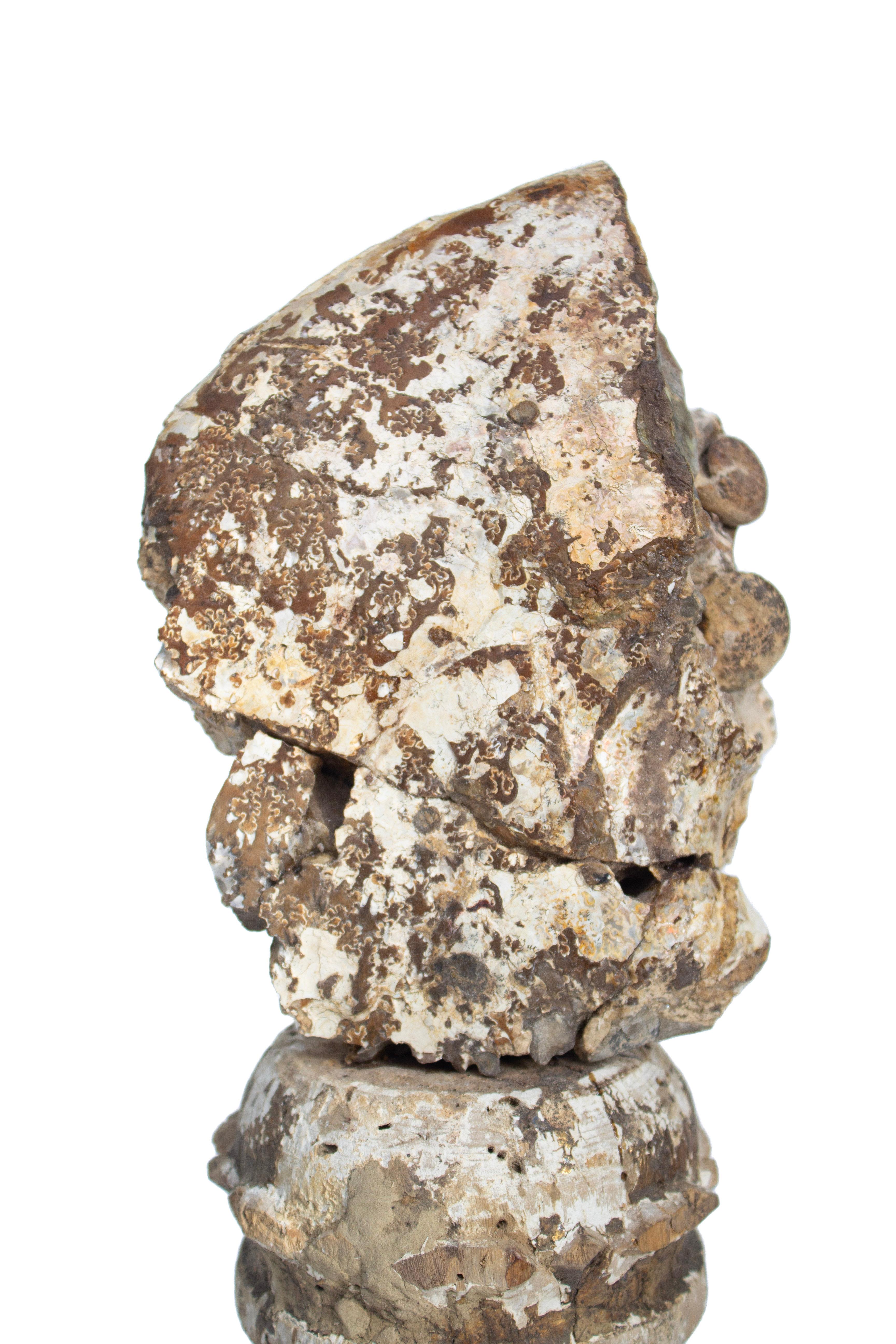 17th Century Italian 'Florence Fragment' Candlestick with Iridescent Ammonite In Distressed Condition For Sale In Dublin, Dalkey