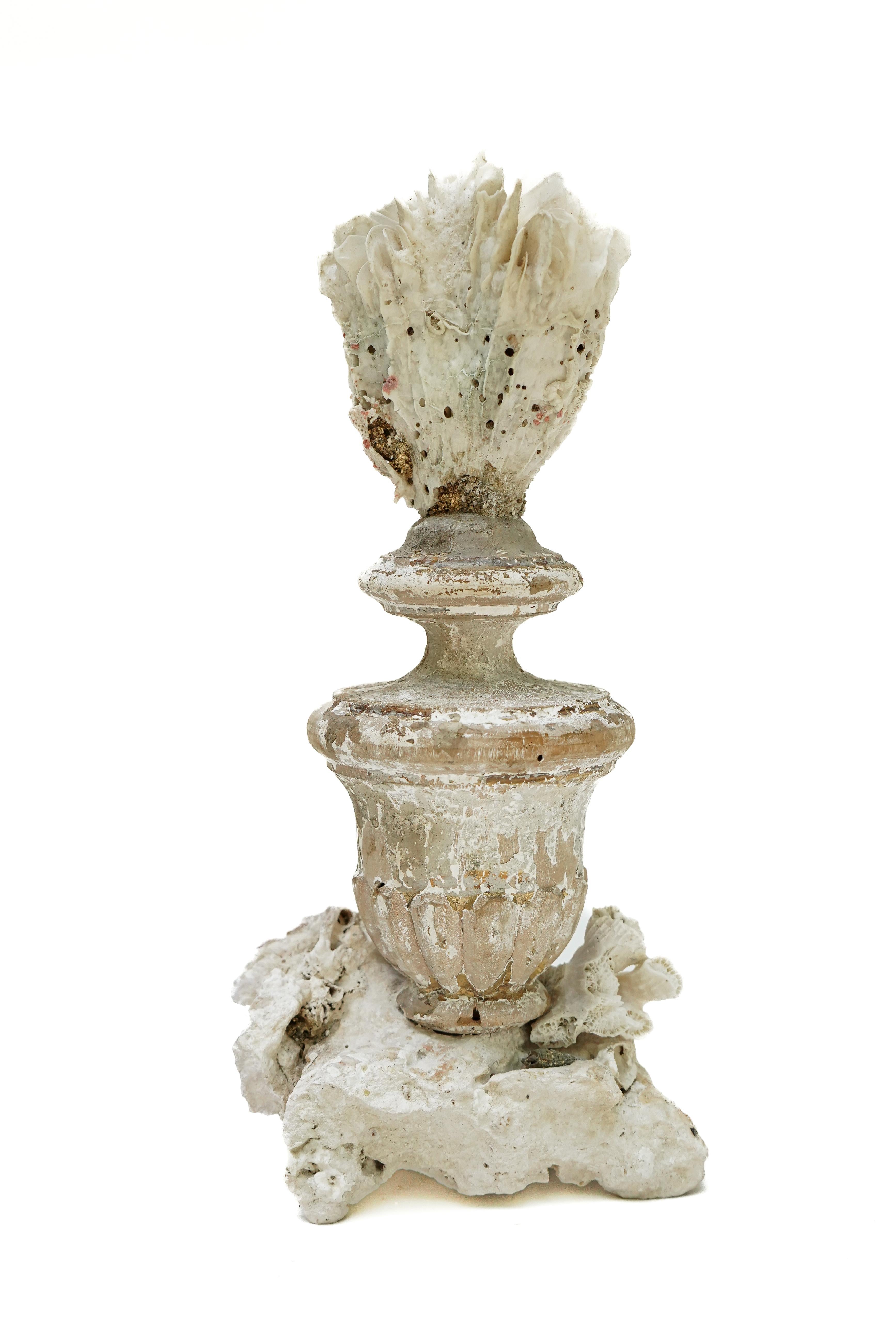 italienische Vase aus dem 17. Jahrhundert mit einem fossilen Korallenkopf auf einem Sockel aus Steinkorallenblüten.

Dieses Fragment stammt aus einer Kirche in Florenz. Es wurde bei der historischen Überschwemmung von Florenz im Jahr 1966 gefunden