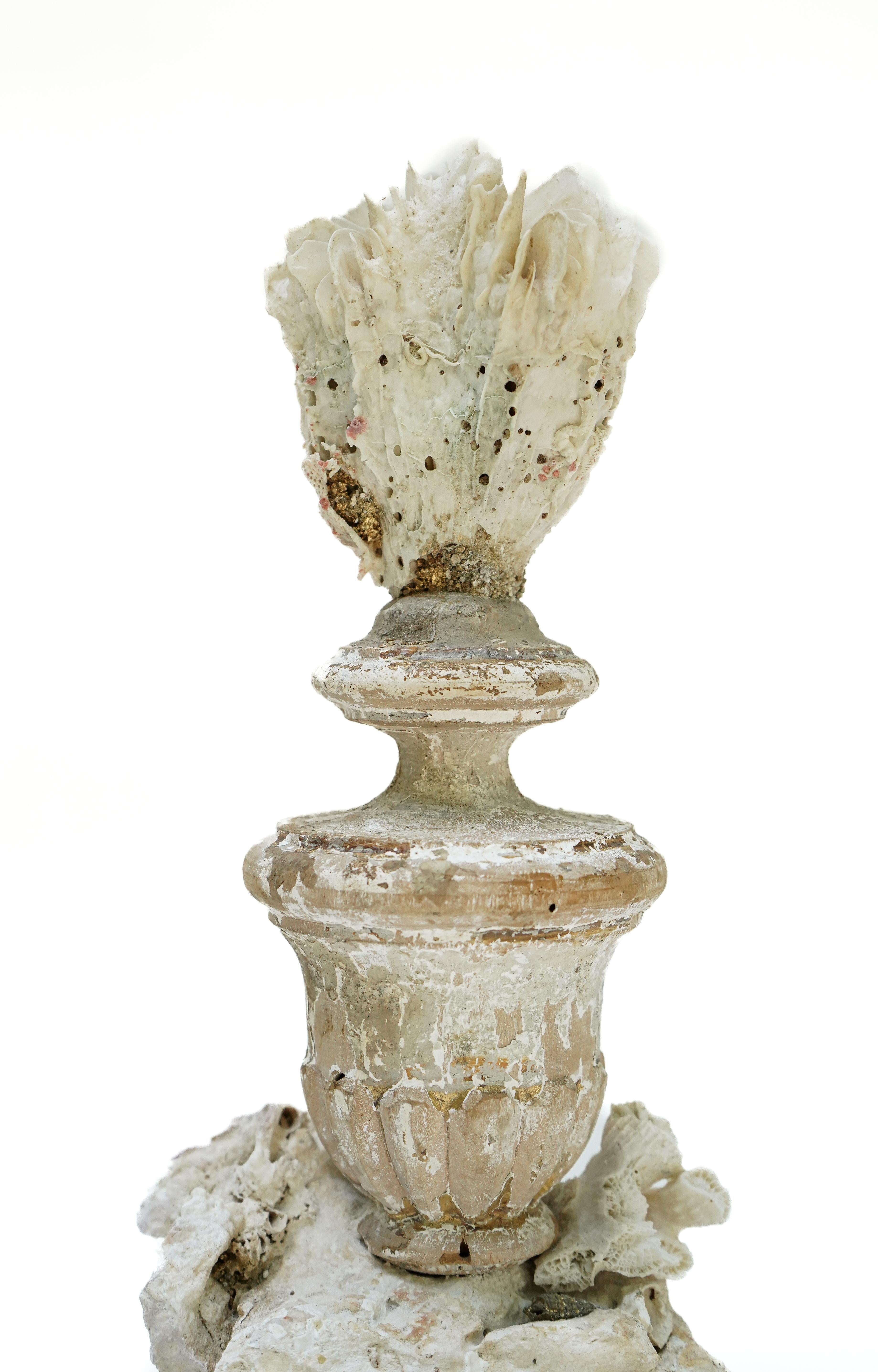 Italienische „Florence Fragment“-Vase aus dem 17. Jahrhundert mit Fossilienkoralle (Barock) im Angebot