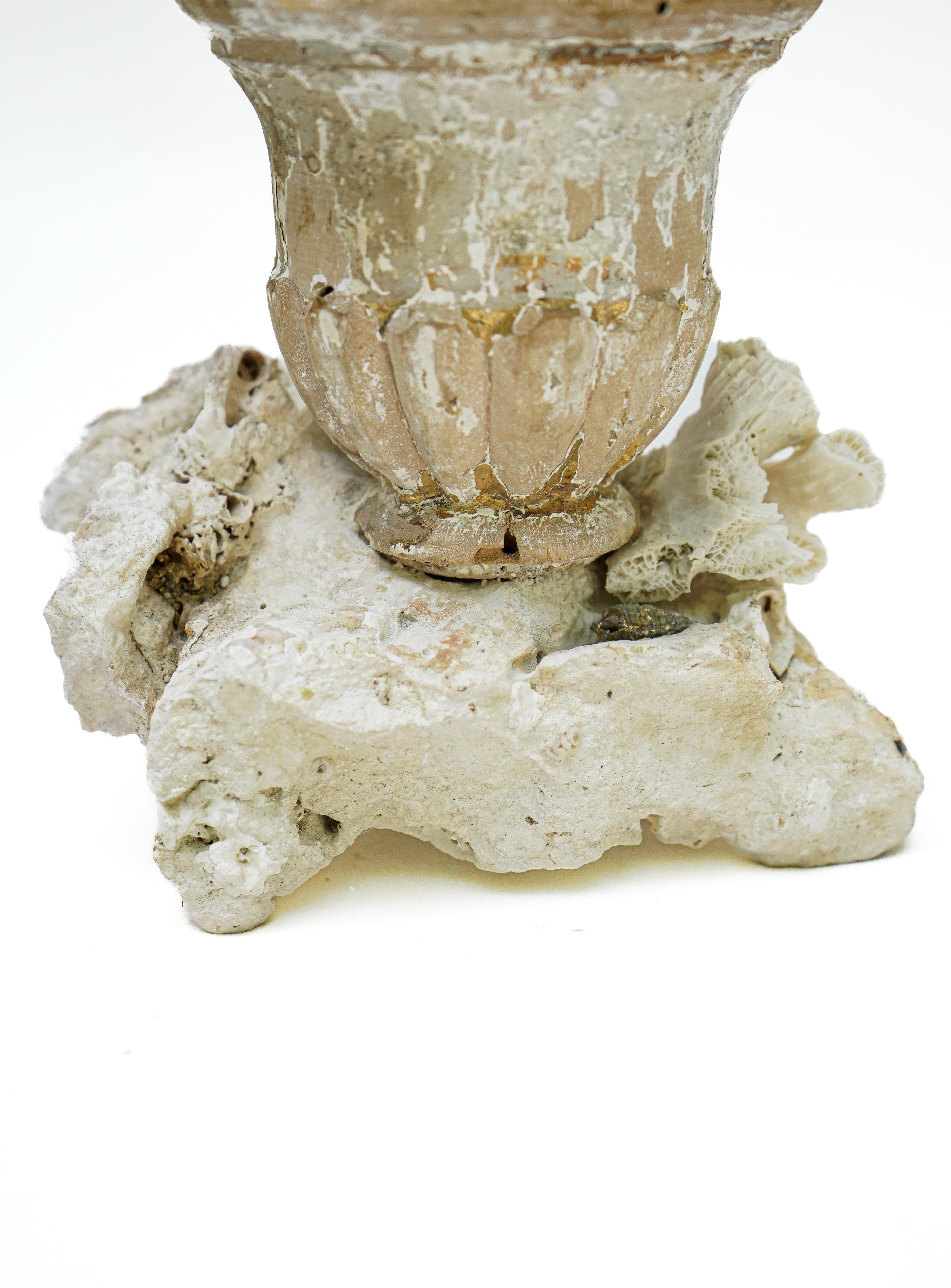 Italienische „Florence Fragment“-Vase aus dem 17. Jahrhundert mit Fossilienkoralle (Handgeschnitzt) im Angebot