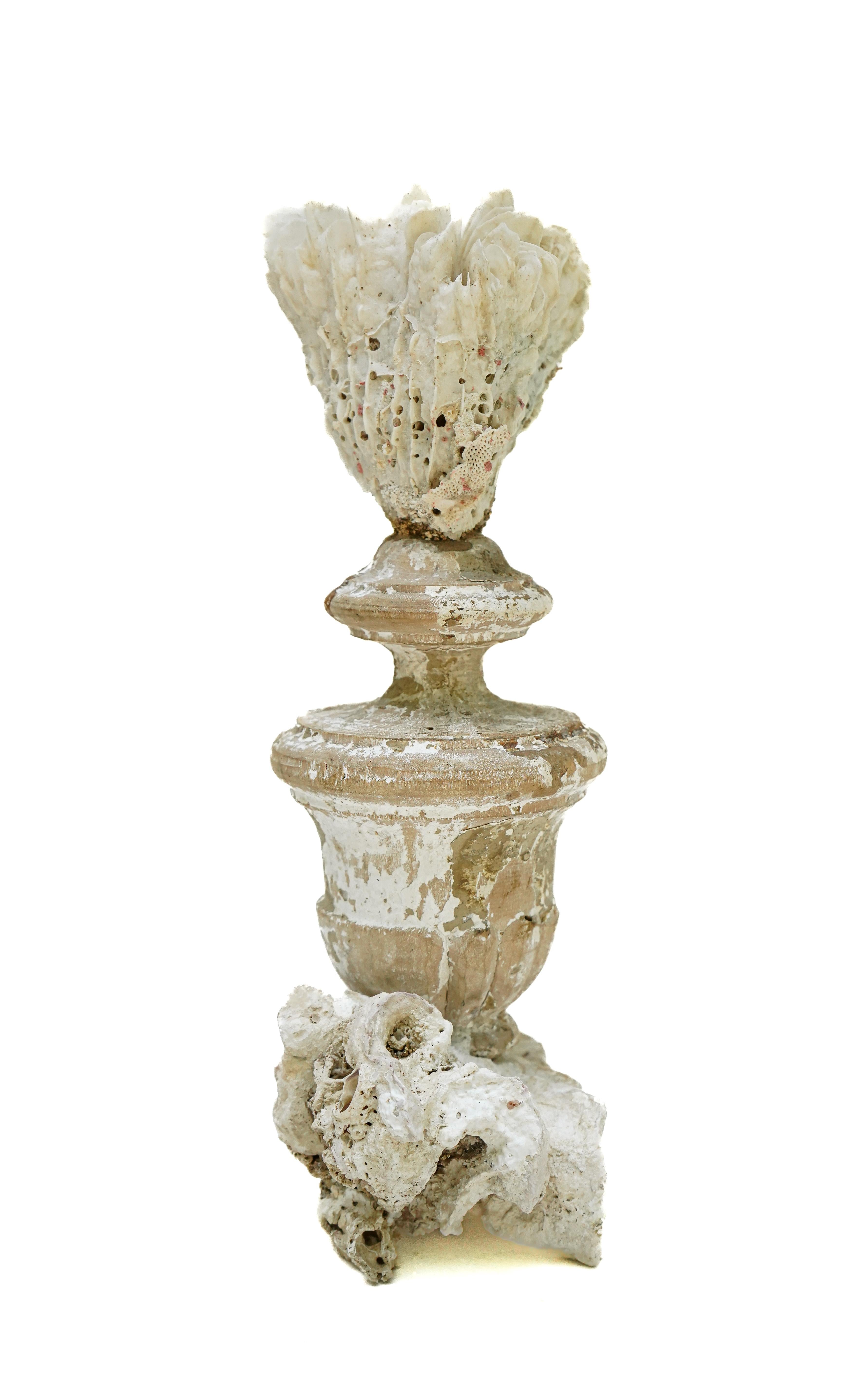 Italienische „Florence Fragment“-Vase aus dem 17. Jahrhundert mit Fossilienkoralle (18. Jahrhundert und früher) im Angebot