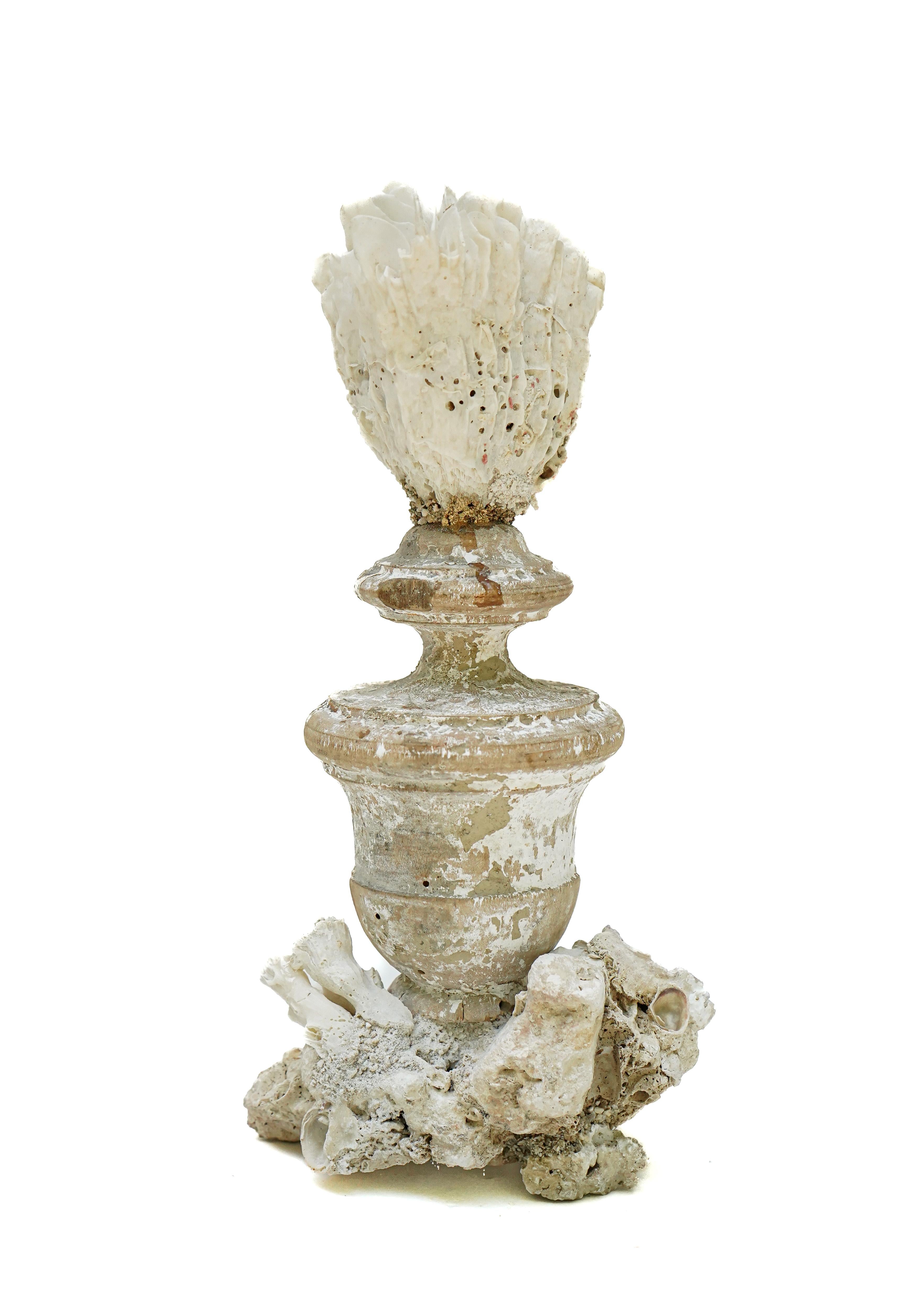 17th Century Italian 'Florence Fragment' Vase with Fossil Coral For Sale 1