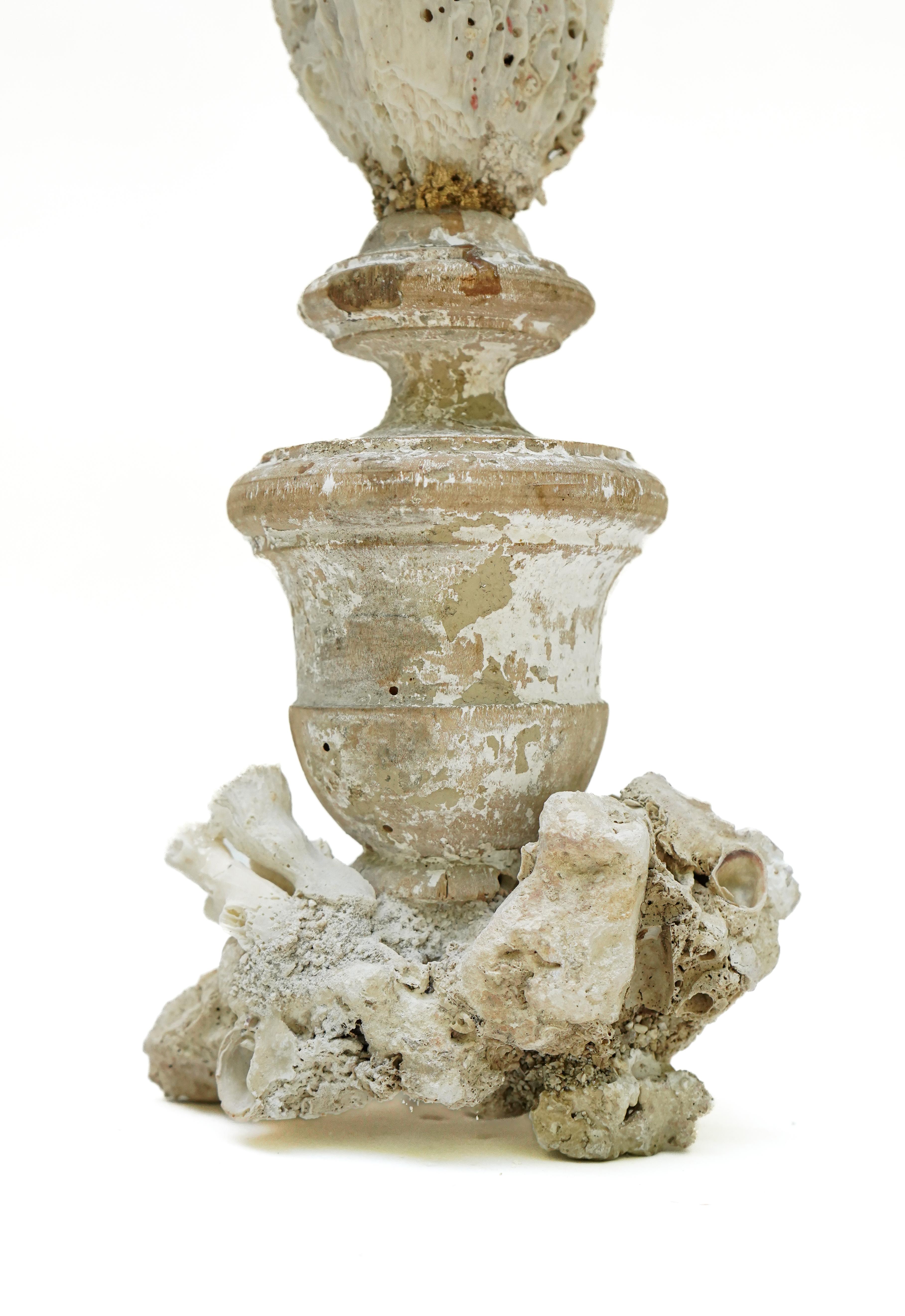17th Century Italian 'Florence Fragment' Vase with Fossil Coral For Sale 2