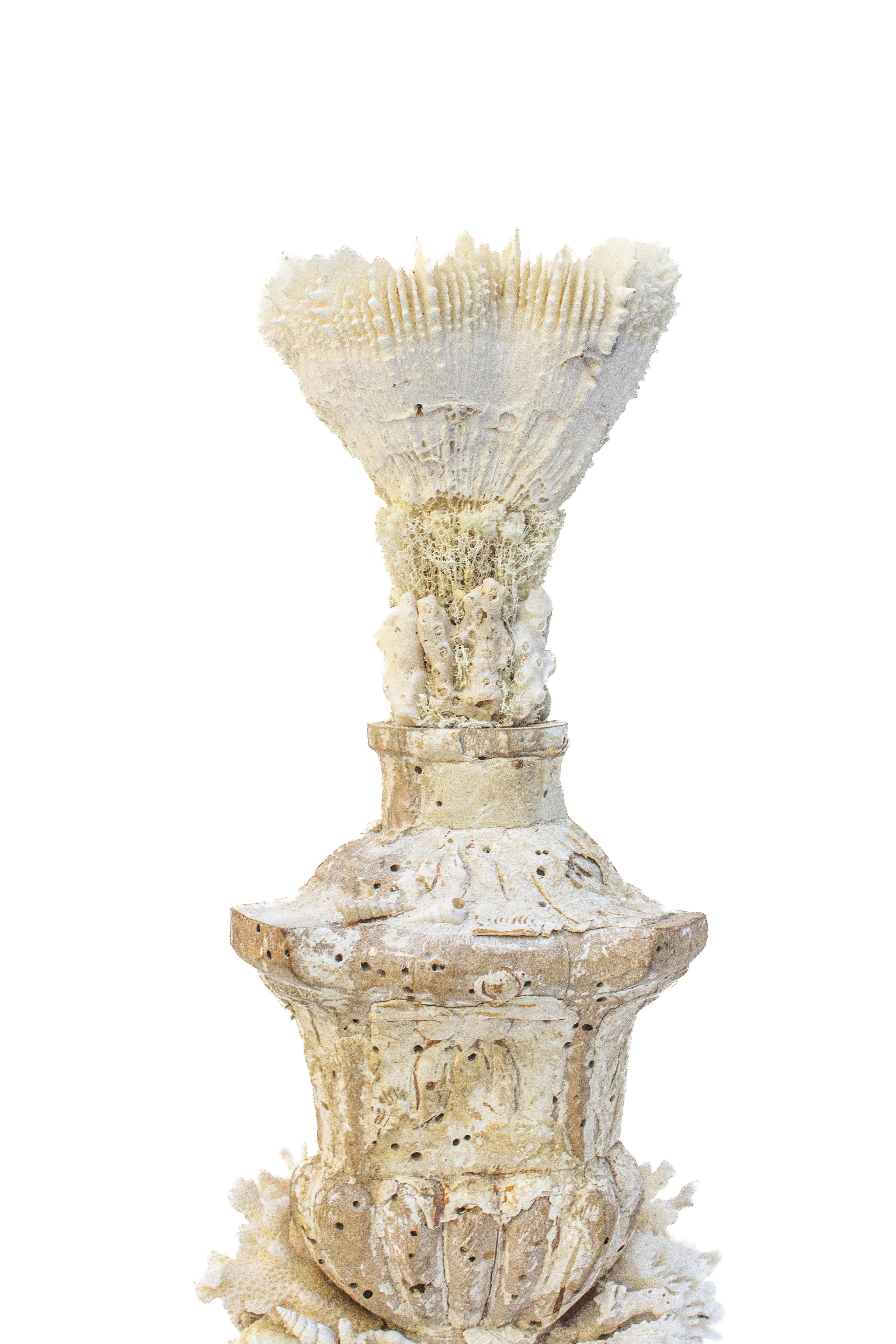 Italienisches „Blumenfragment“ aus dem 17. Jahrhundert mit versteinerter Koralle auf einem Sockel aus Bergkoralle (Rokoko) im Angebot