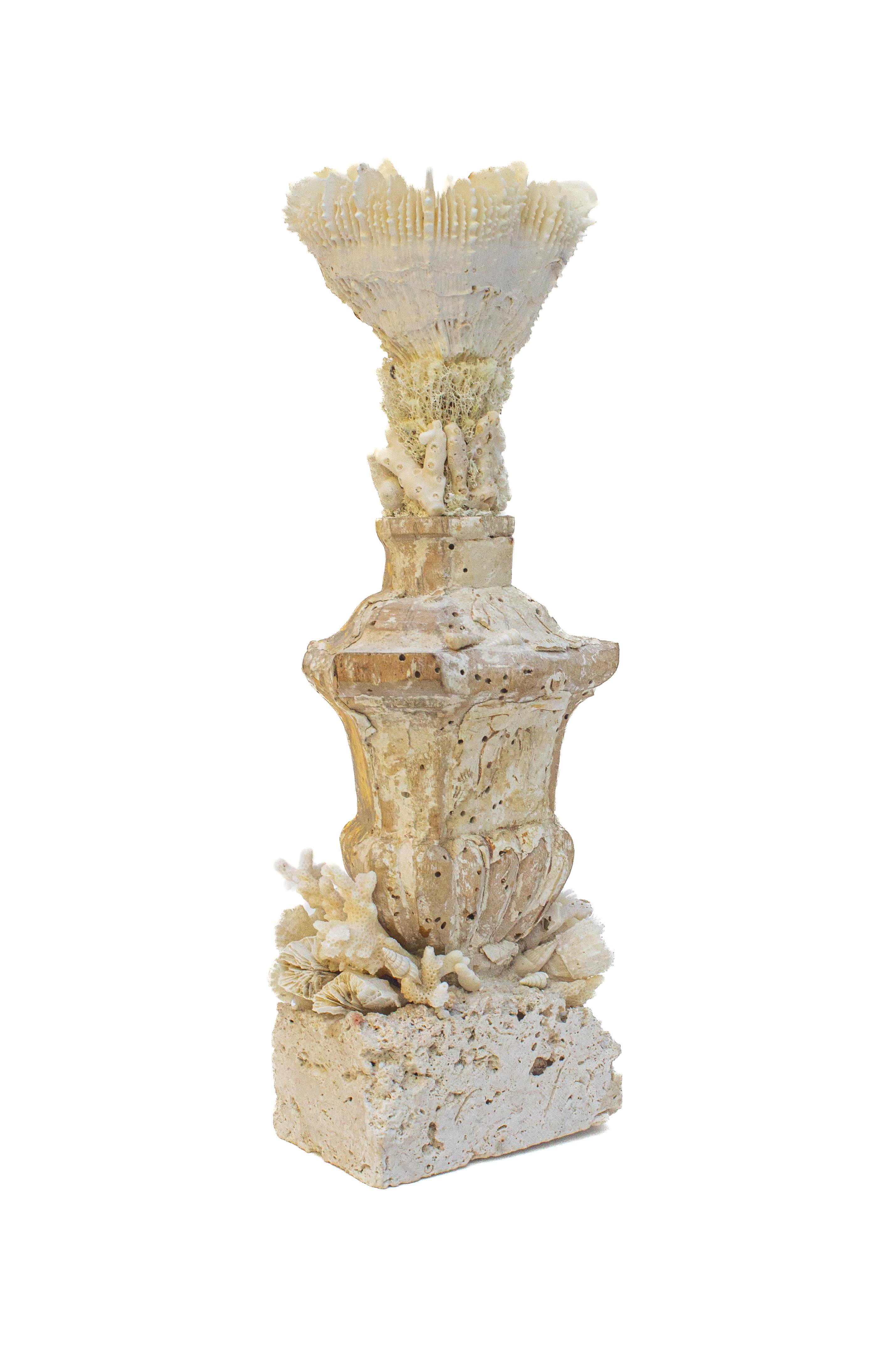 Italienisches „Blumenfragment“ aus dem 17. Jahrhundert mit versteinerter Koralle auf einem Sockel aus Bergkoralle im Zustand „Starke Gebrauchsspuren“ im Angebot in Dublin, Dalkey