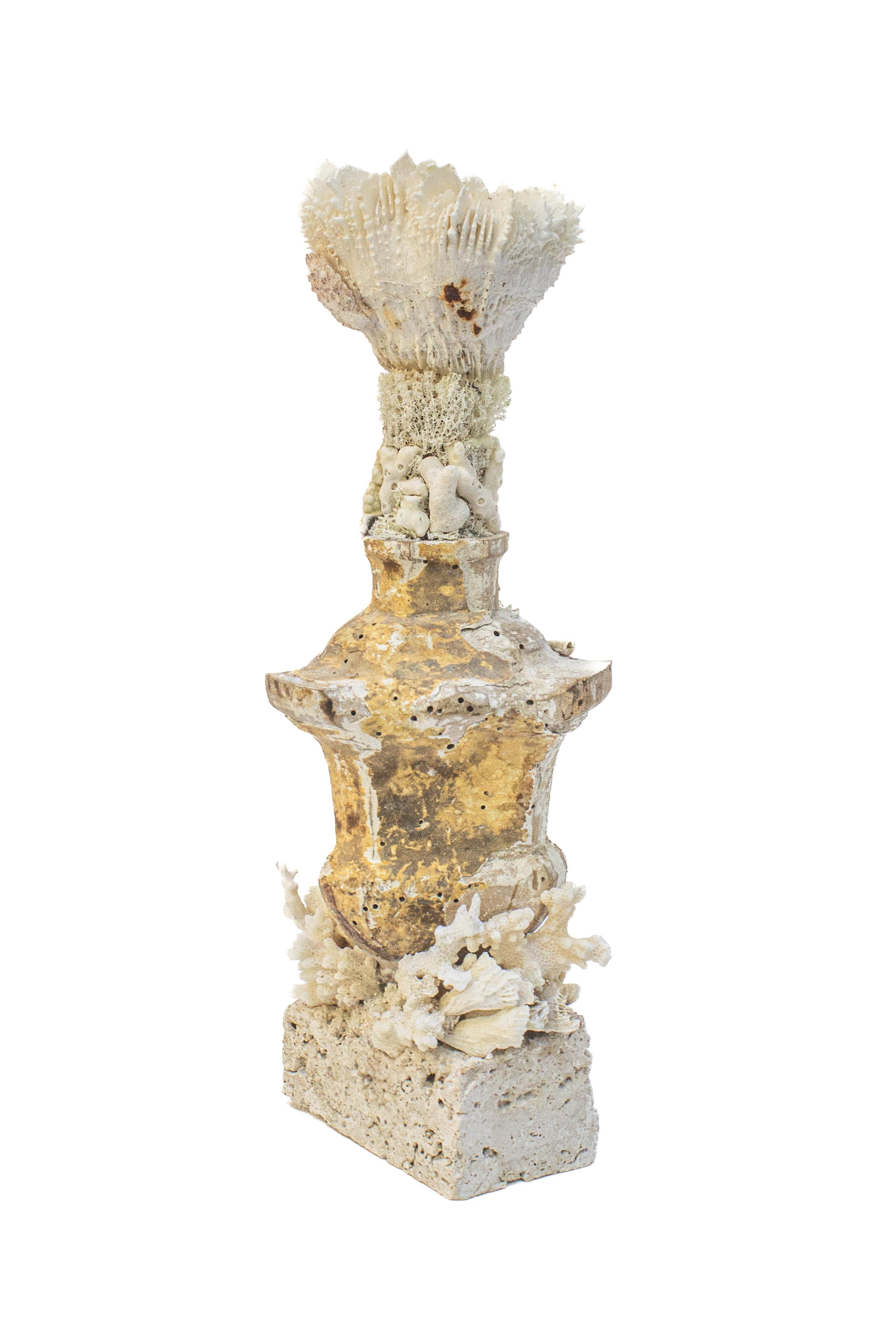 Italienisches „Blumenfragment“ aus dem 17. Jahrhundert mit versteinerter Koralle auf einem Sockel aus Bergkoralle (18. Jahrhundert und früher) im Angebot