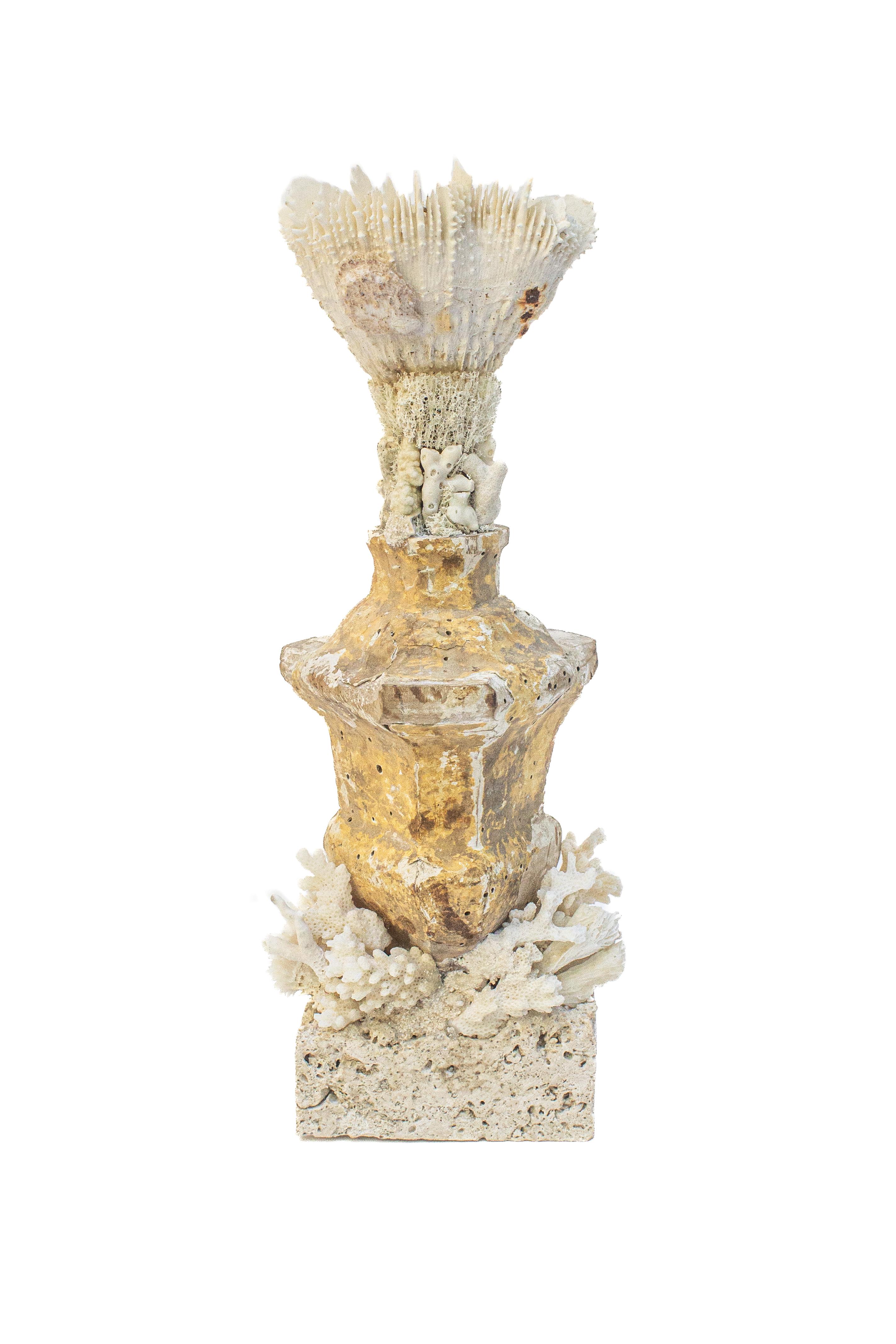 Italienisches „Blumenfragment“ aus dem 17. Jahrhundert mit versteinerter Koralle auf einem Sockel aus Bergkoralle im Angebot 1