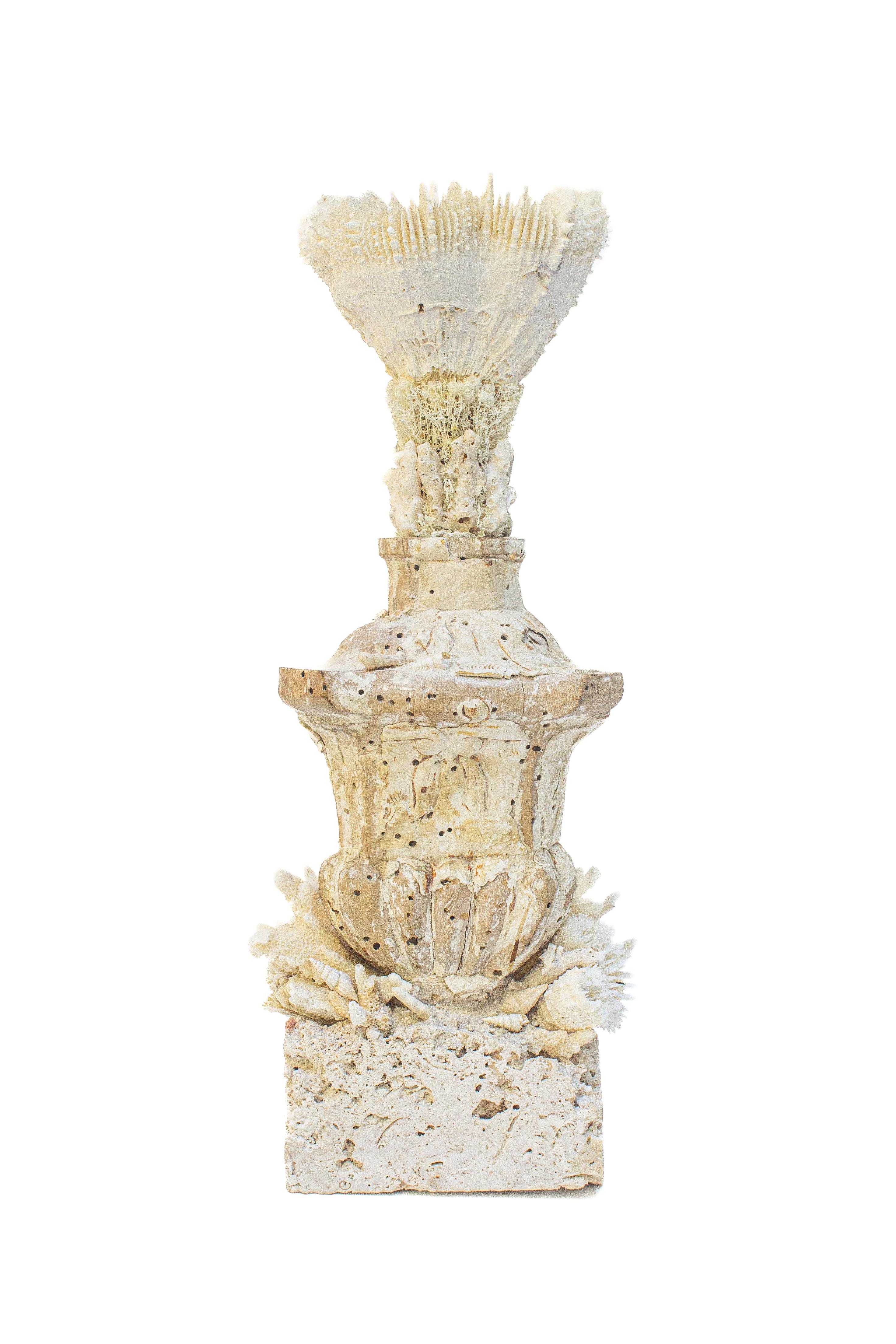 Italienisches „Blumenfragment“ aus dem 17. Jahrhundert mit versteinerter Koralle auf einem Sockel aus Bergkoralle