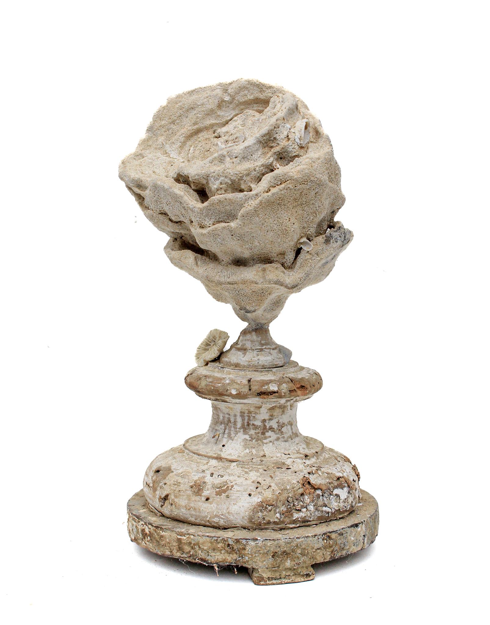 italienisches Fragment aus dem 17. Jahrhundert, das mit einem großen Stromatolithen und einer fossilen Rosenkoralle verziert ist.

Dieses Fragment stammt aus einer Kirche in Florenz. Es wurde gefunden und vor dem historischen Hochwasser des Arno