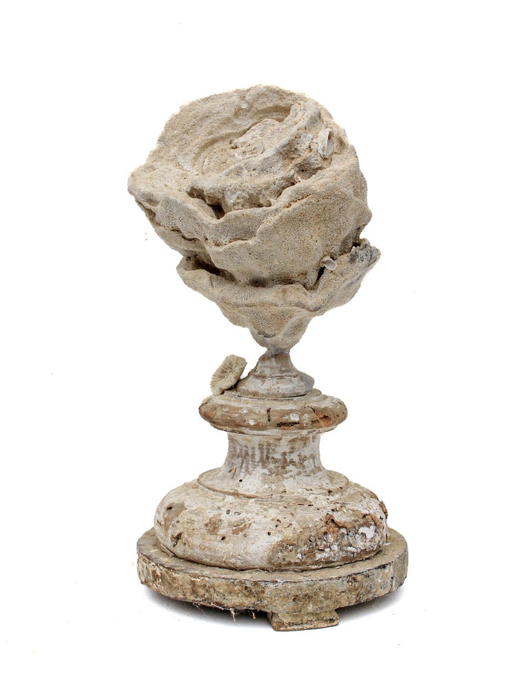 17th century Italian fragment base mounted with a large stromatolite and adorned fossil rose coral.

This fragment is from a church in Florence. It was found and saved from the historic flooding of the Arno River in 1966. The fossil stromatolite