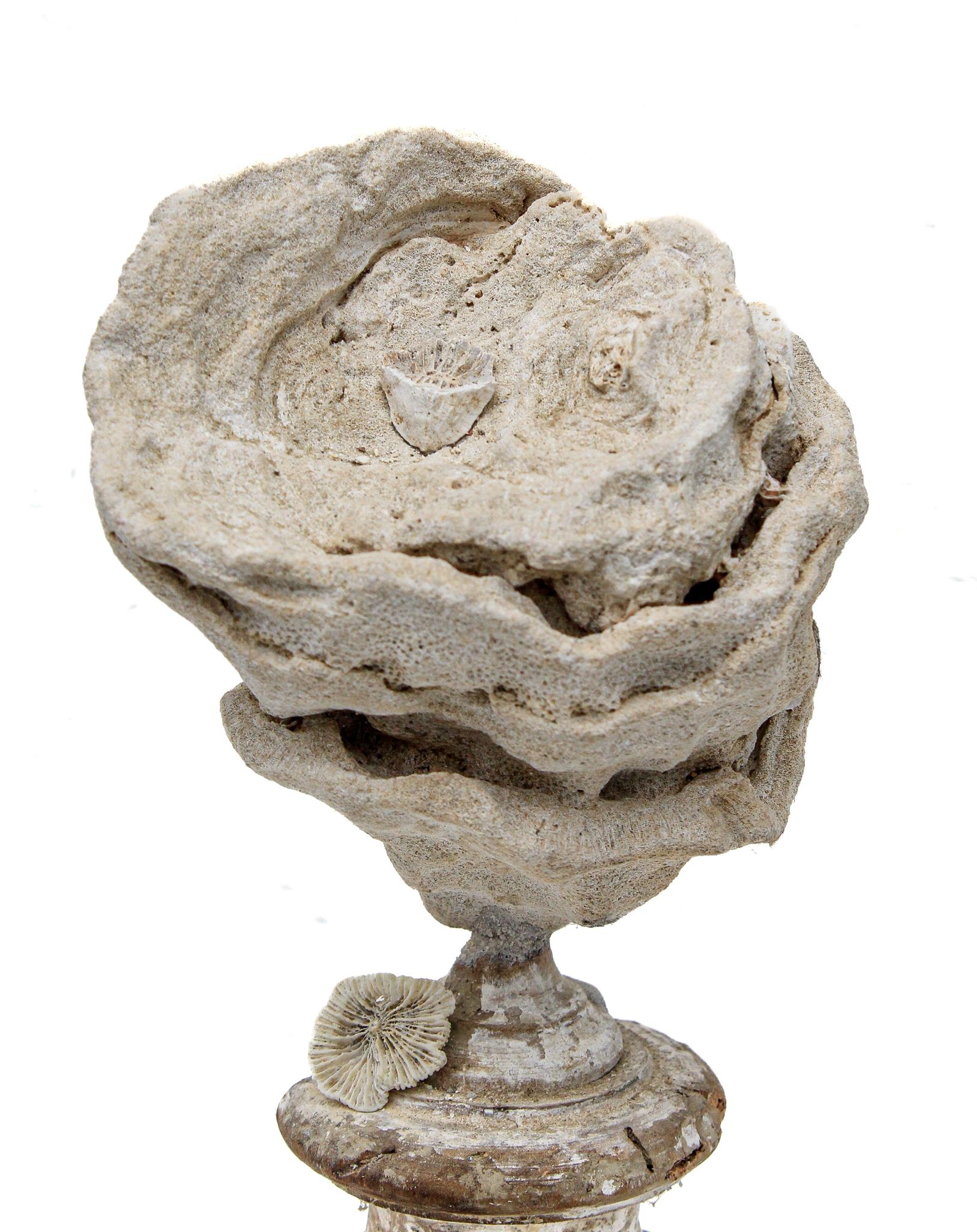 italien Un « fragment de fleur » du 17ème siècle monté avec une Stromatolite fossile et un corail rose en vente