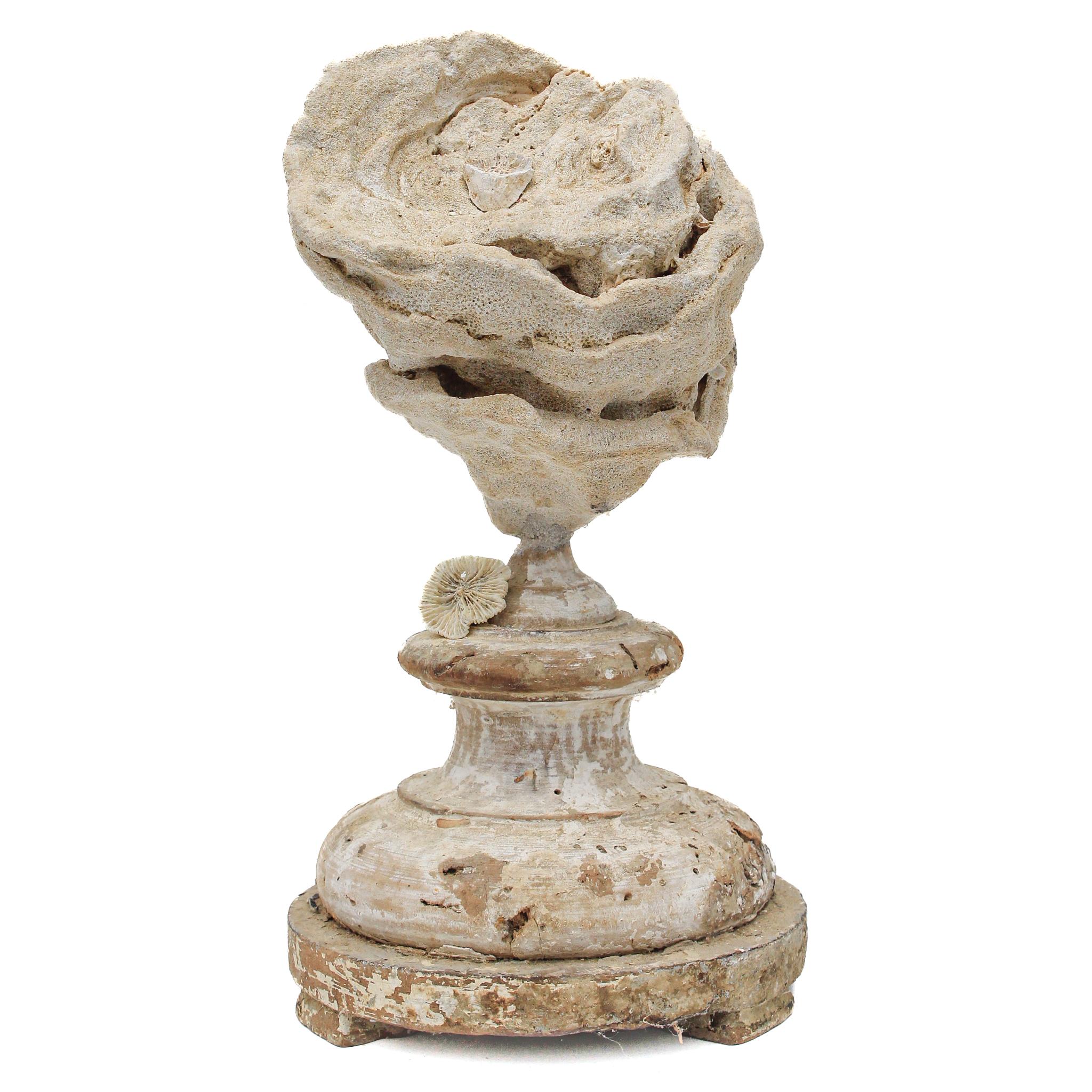 Sculpté à la main Un « fragment de fleur » du 17ème siècle monté avec une Stromatolite fossile et un corail rose en vente