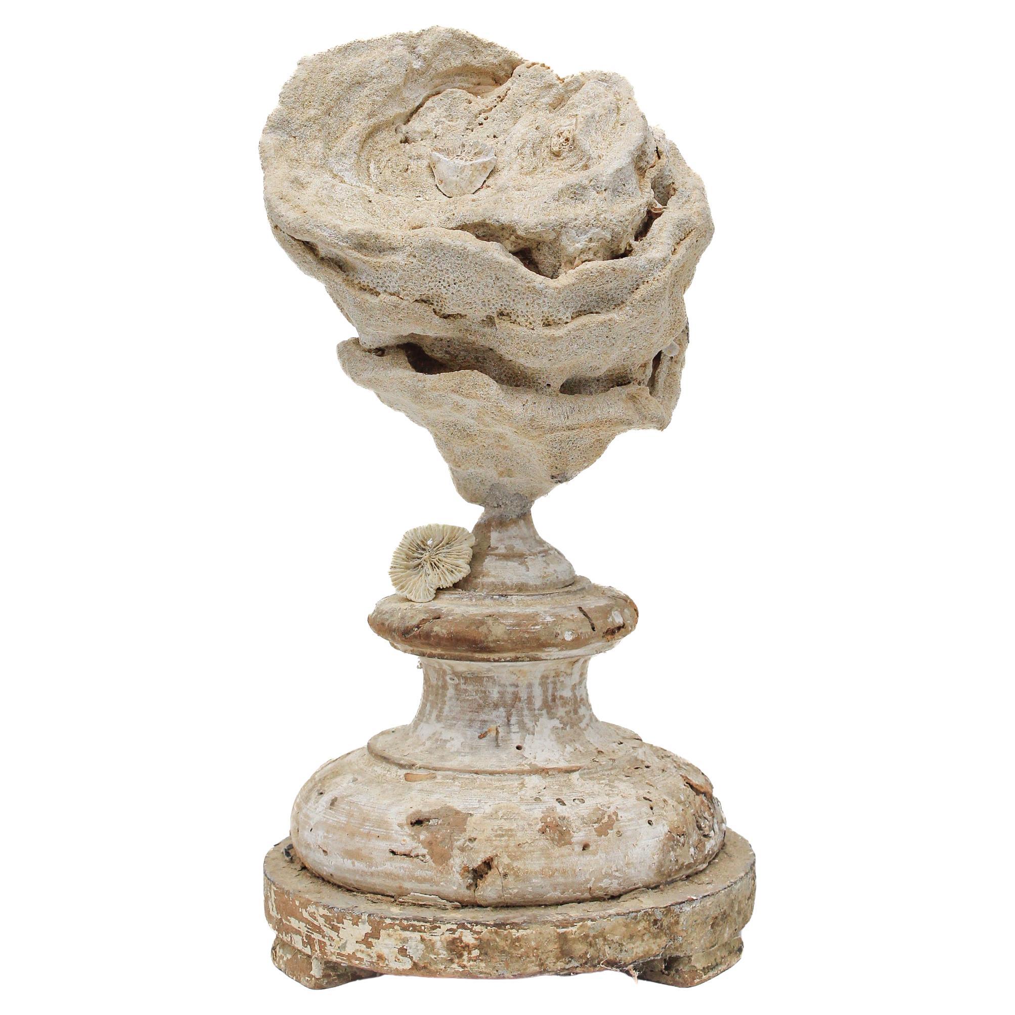 Un « fragment de fleur » du 17ème siècle monté avec une Stromatolite fossile et un corail rose