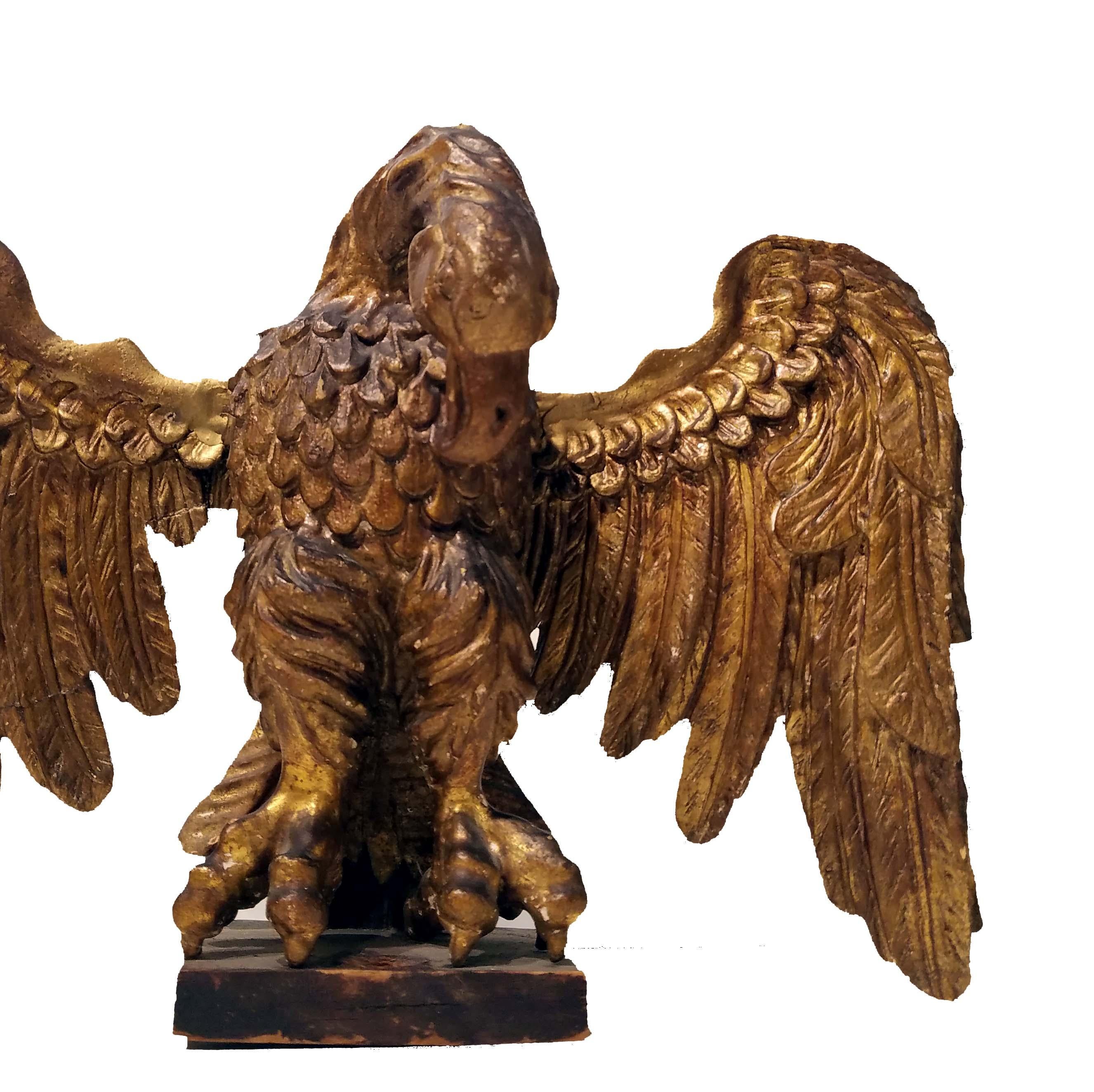 17th Century Italian Giltwood Carved Eagle 4