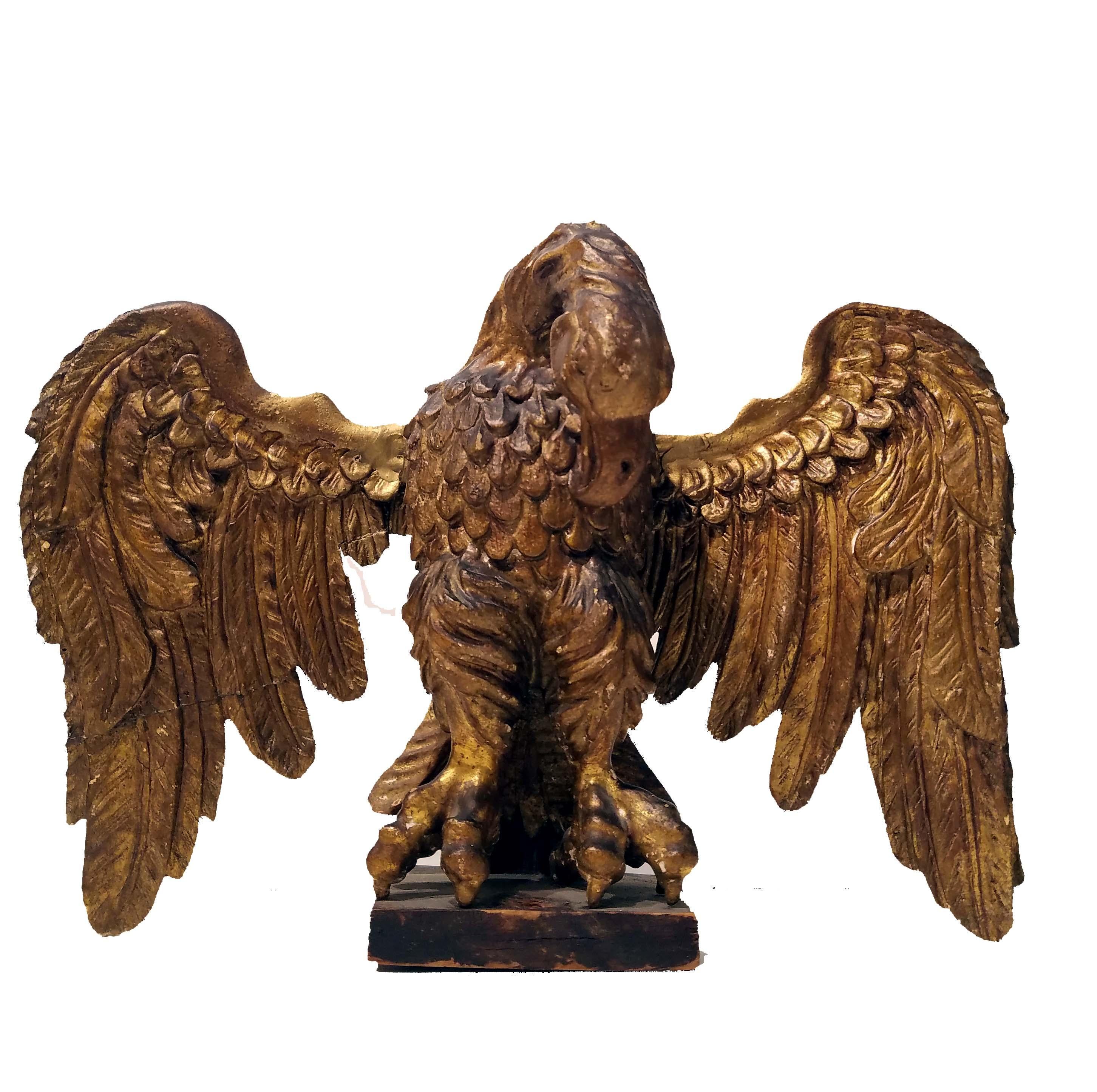 17th Century Italian Giltwood Carved Eagle 5