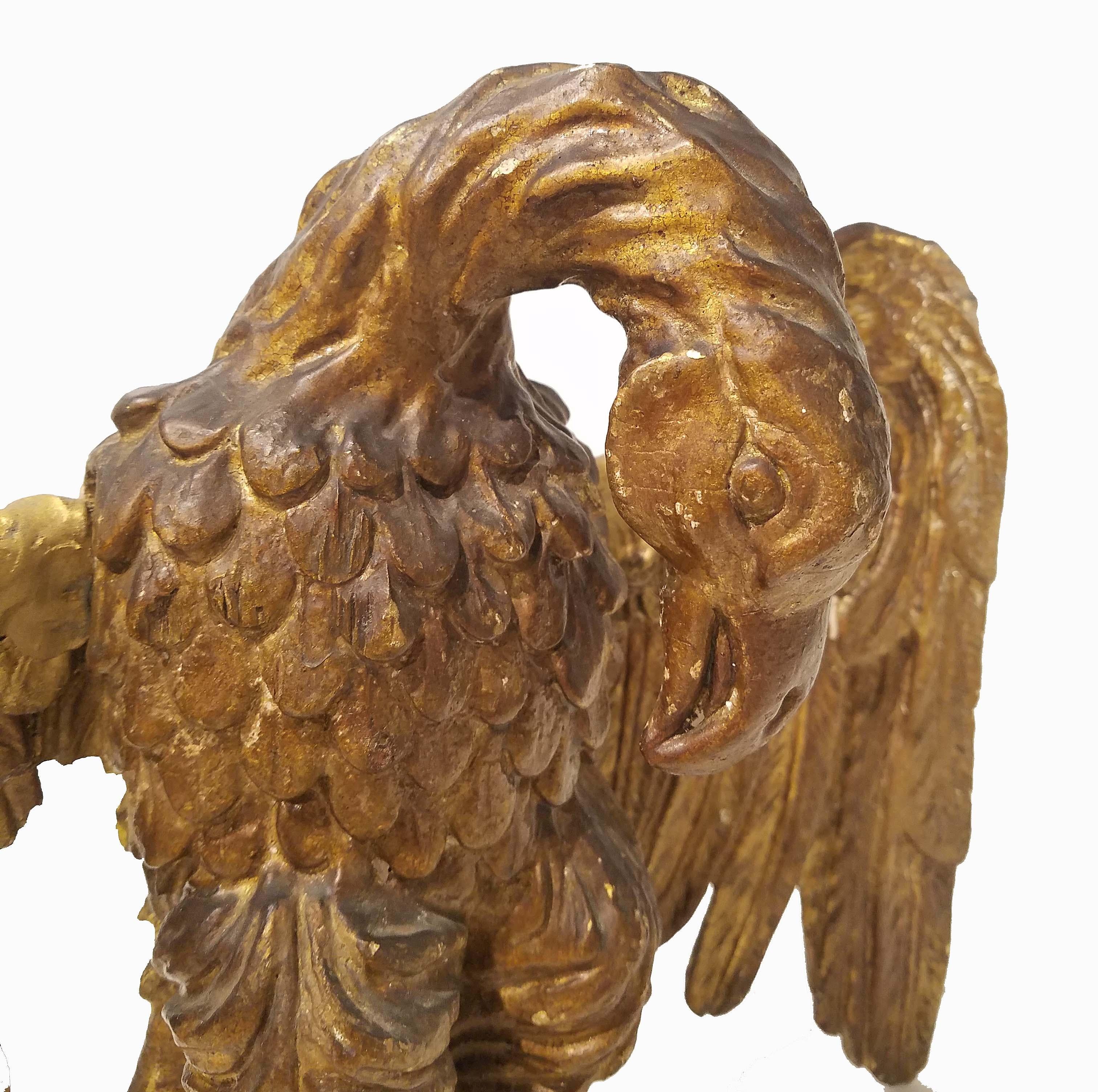 italian eagle