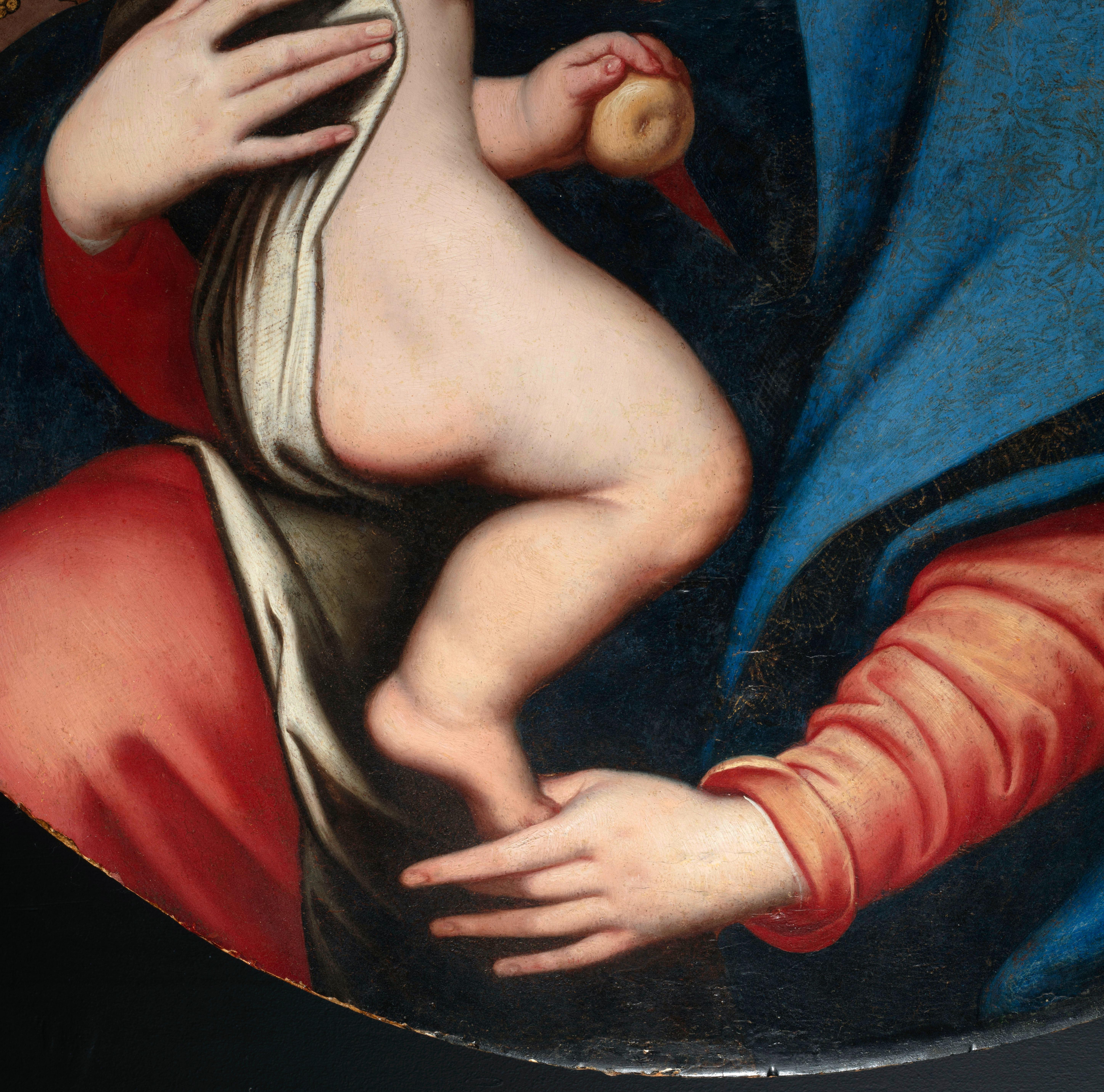 17th Century, Italian Oil on Panel Painting Depicting Madonna della Purità For Sale 1