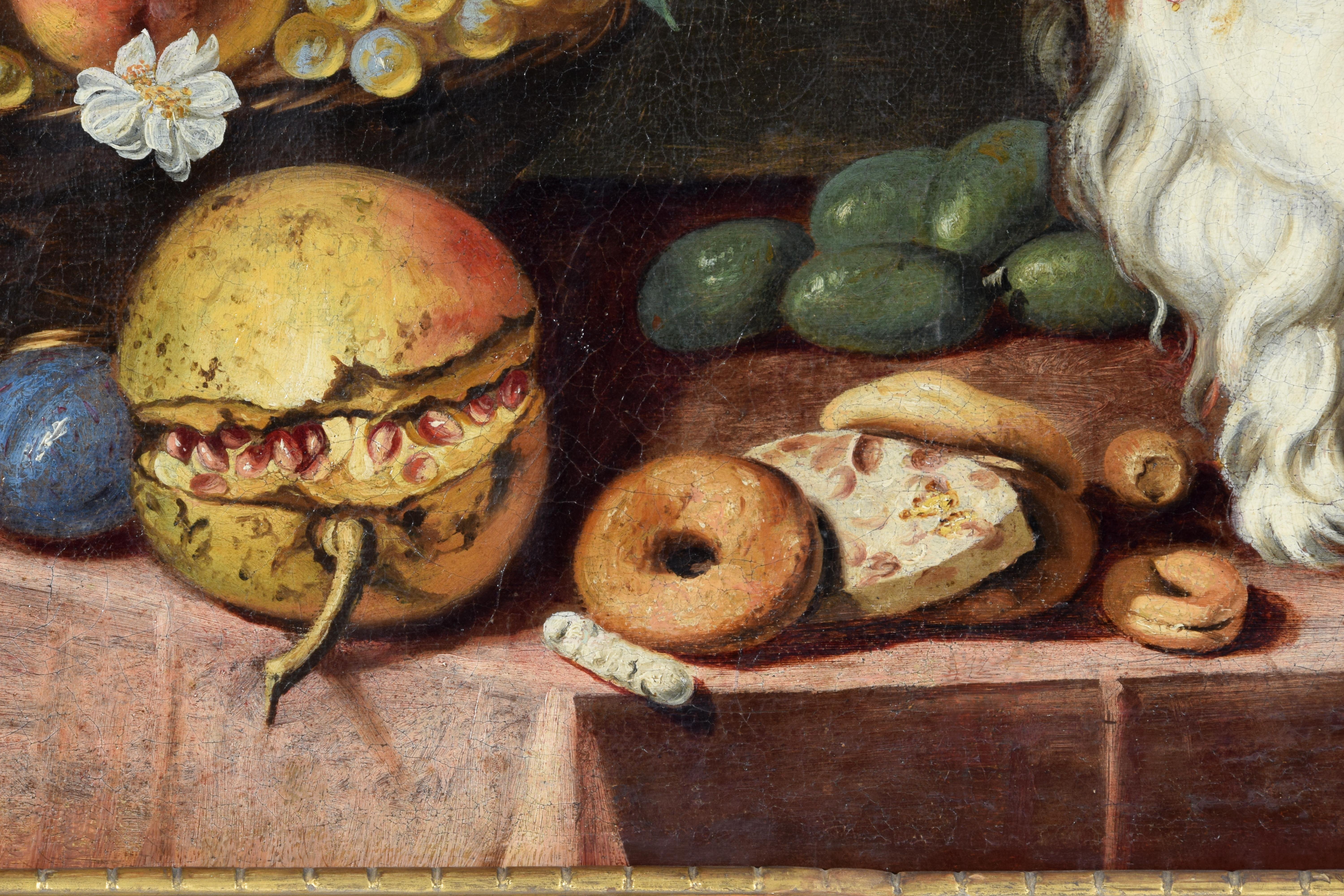 17th Century, Italian Painting with Still Life with Fruit, Dogs and Cat For Sale 5
