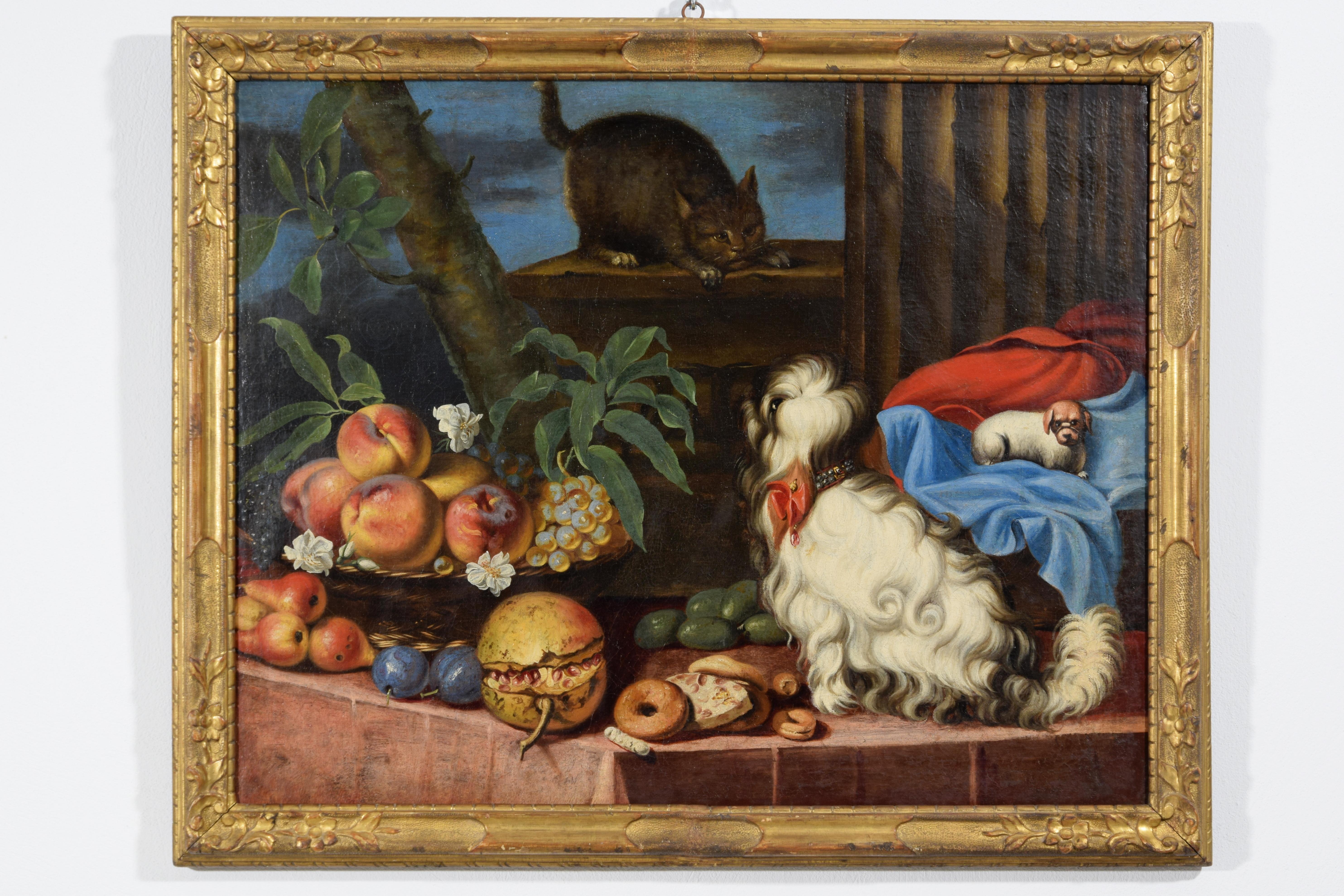 17th Century, Italian Painting with Still Life with Fruit, Dogs and Cat For Sale 7