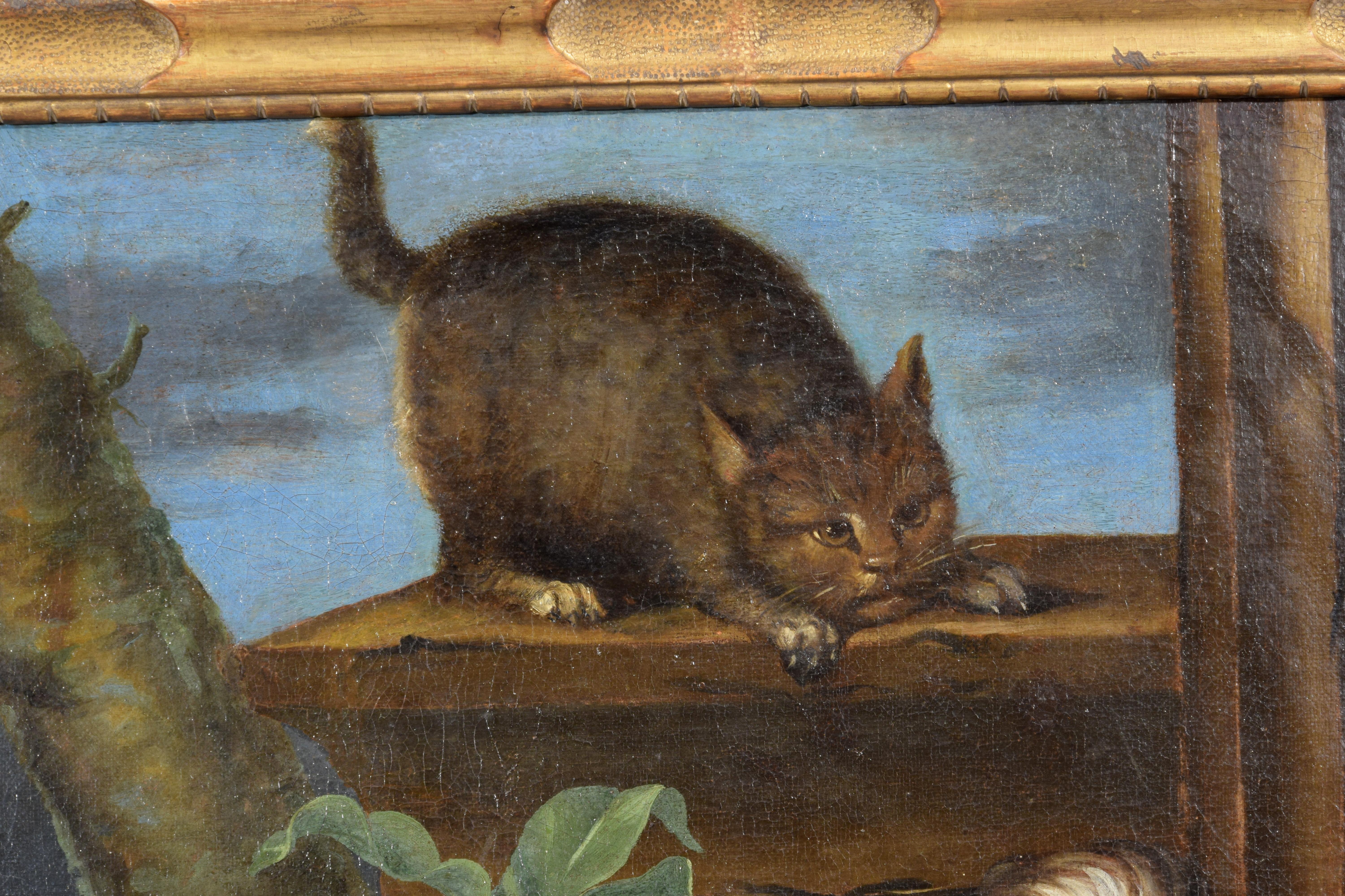 Italienisches Gemälde des 17. Jahrhunderts mit Stillleben mit Obst, Hunden und Katze im Angebot 9