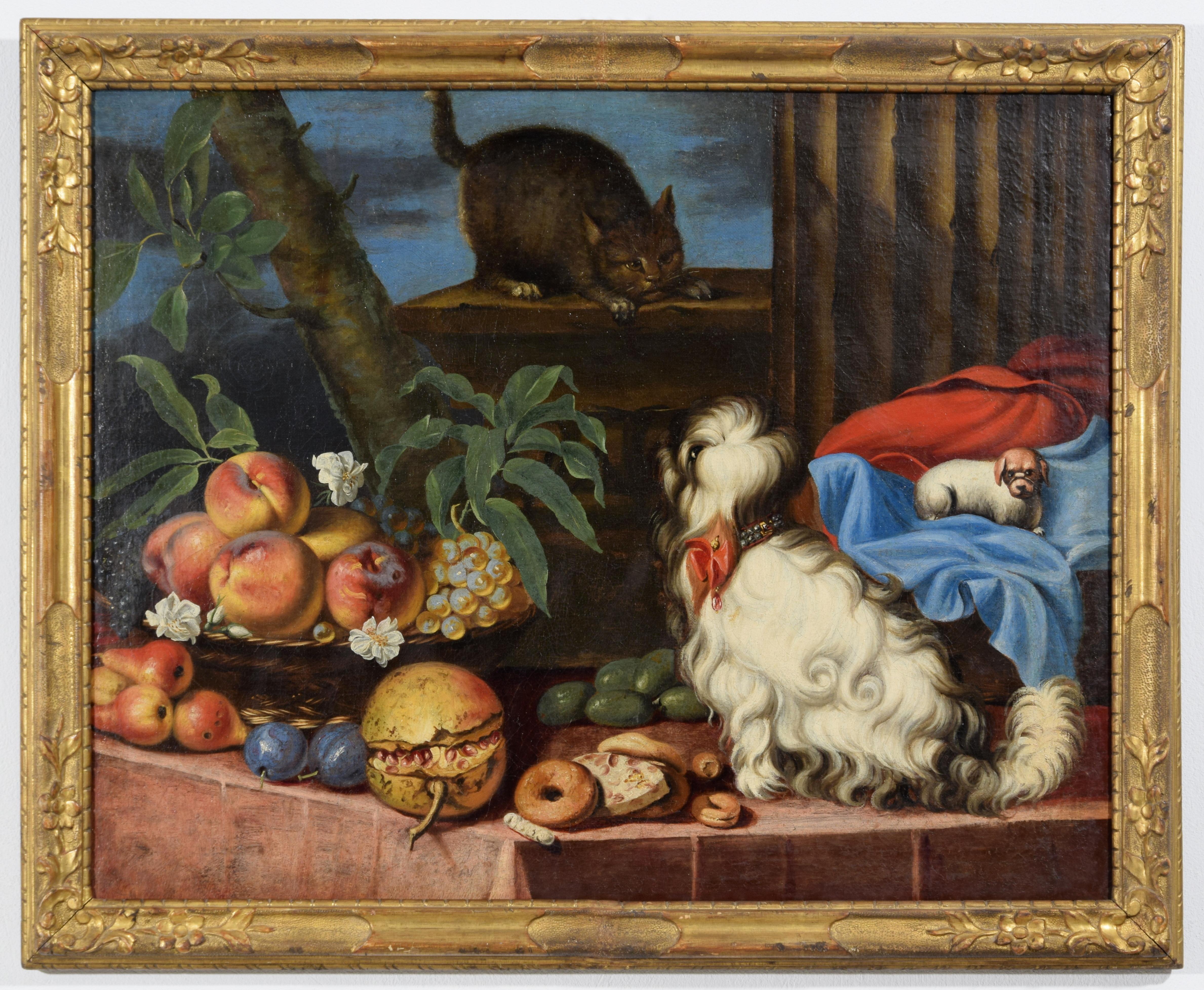 17. Jahrhundert, Italienisches Gemälde mit Stillleben mit Obst, Hunden und Katze
Abmessungen: Mit Rahmen cm B 93 x H 75,5 x T 4; Rahmen cm B 82,5 x H 66,5

Das in Öl auf Leinwand gemalte Bild ist stilistisch einem Maler zuzuordnen, der im