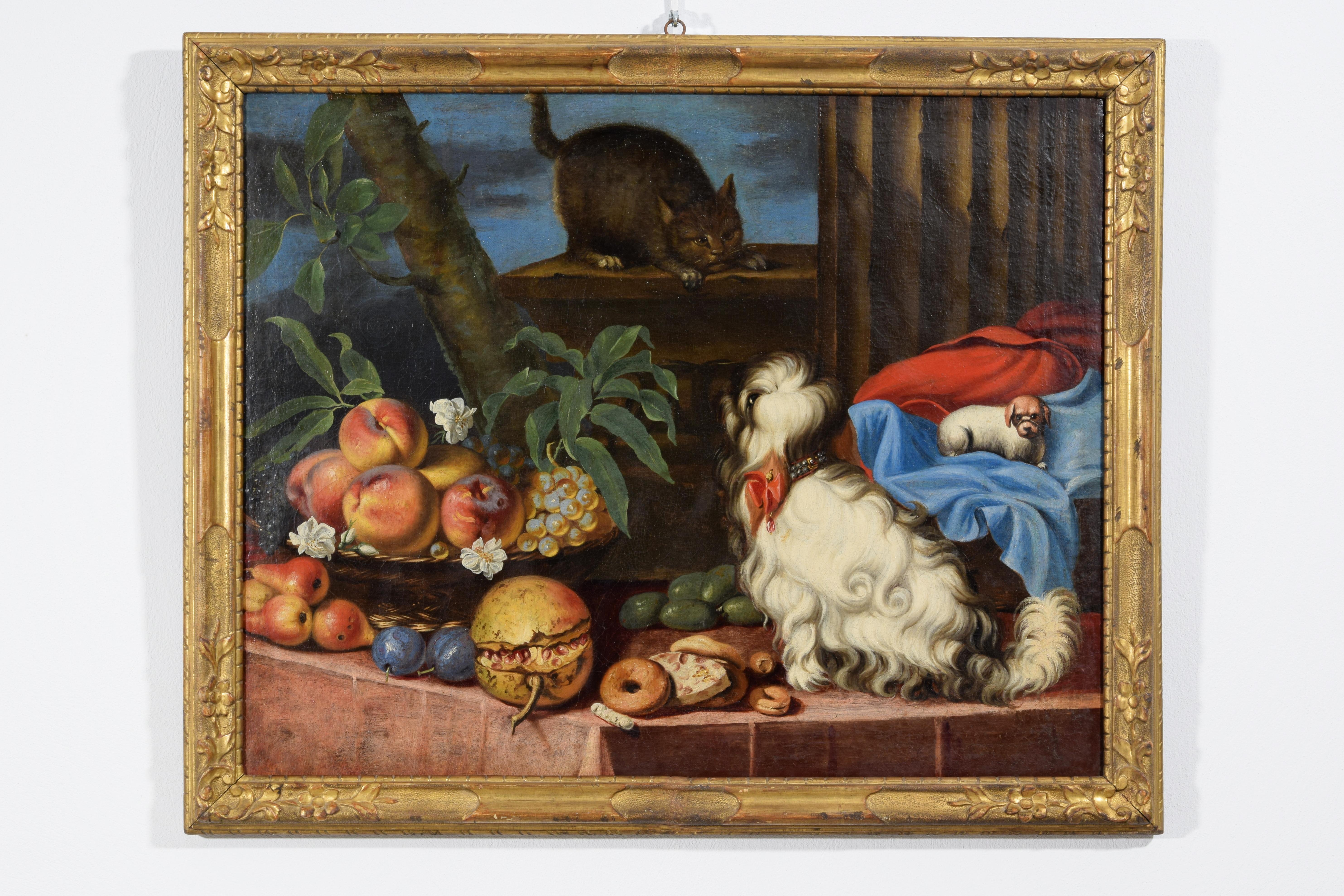Baroque 17th Century, Italian Painting with Still Life with Fruit, Dogs and Cat For Sale