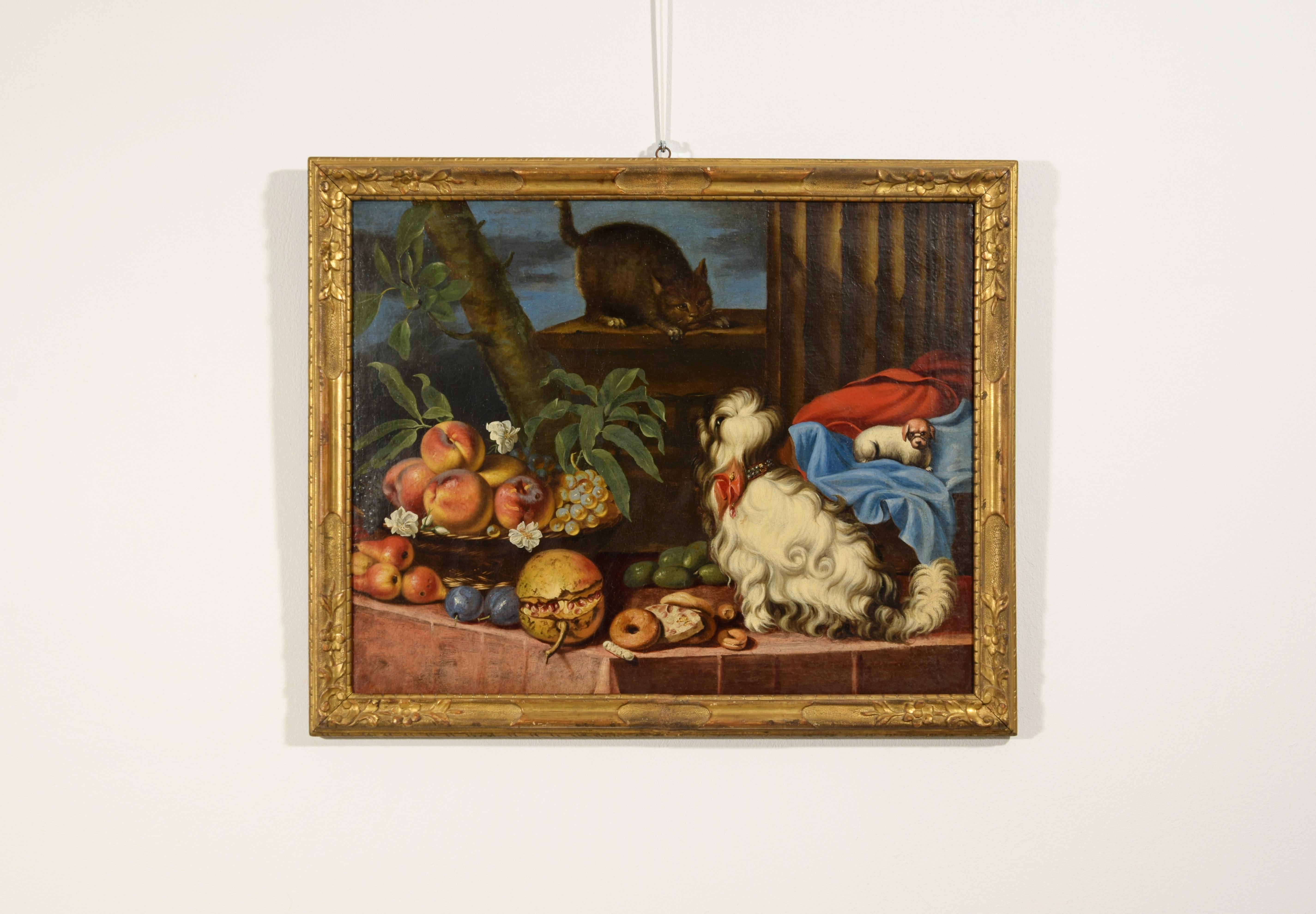 Italienisches Gemälde des 17. Jahrhunderts mit Stillleben mit Obst, Hunden und Katze (Handbemalt) im Angebot