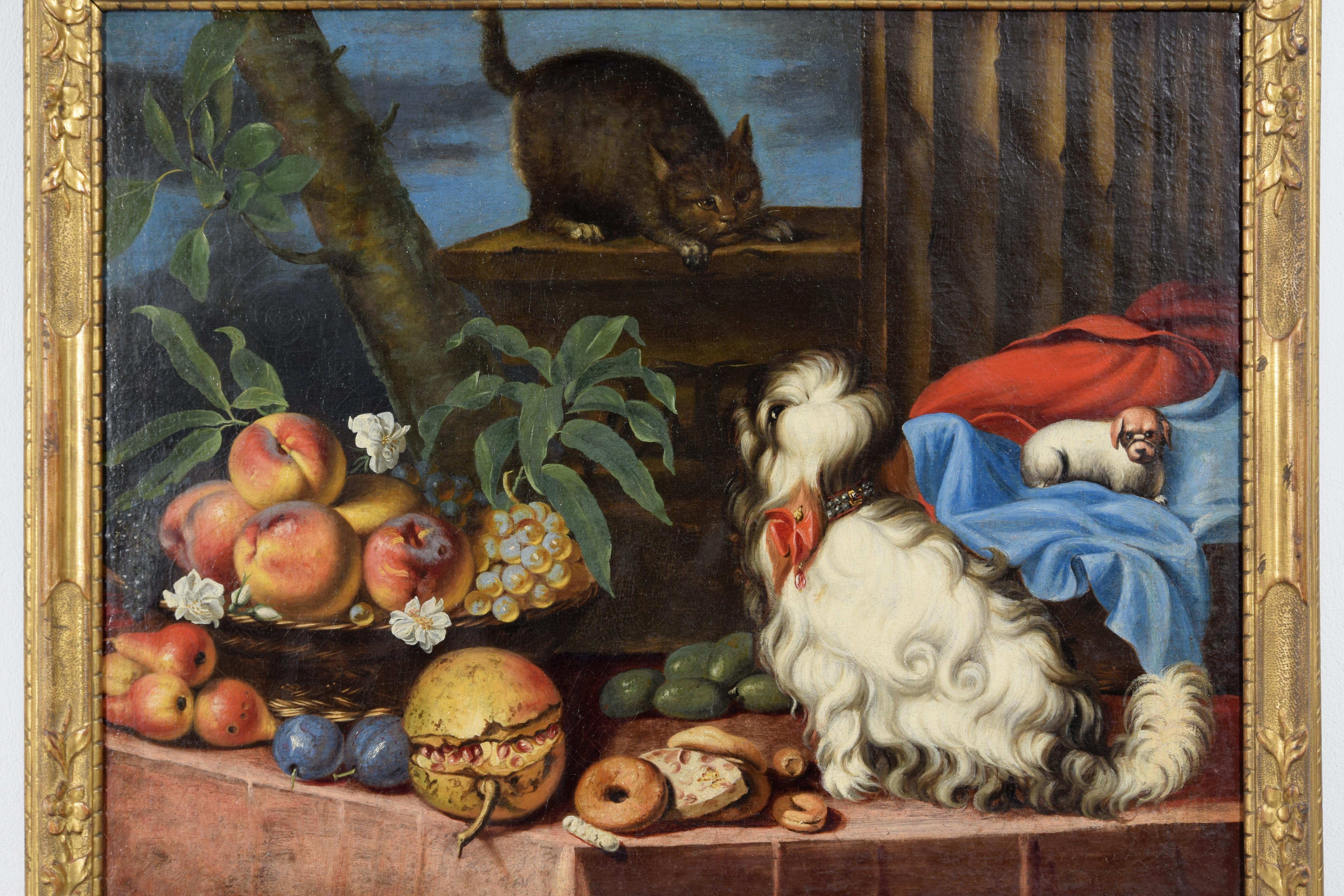 Canvas 17th Century, Italian Painting with Still Life with Fruit, Dogs and Cat For Sale