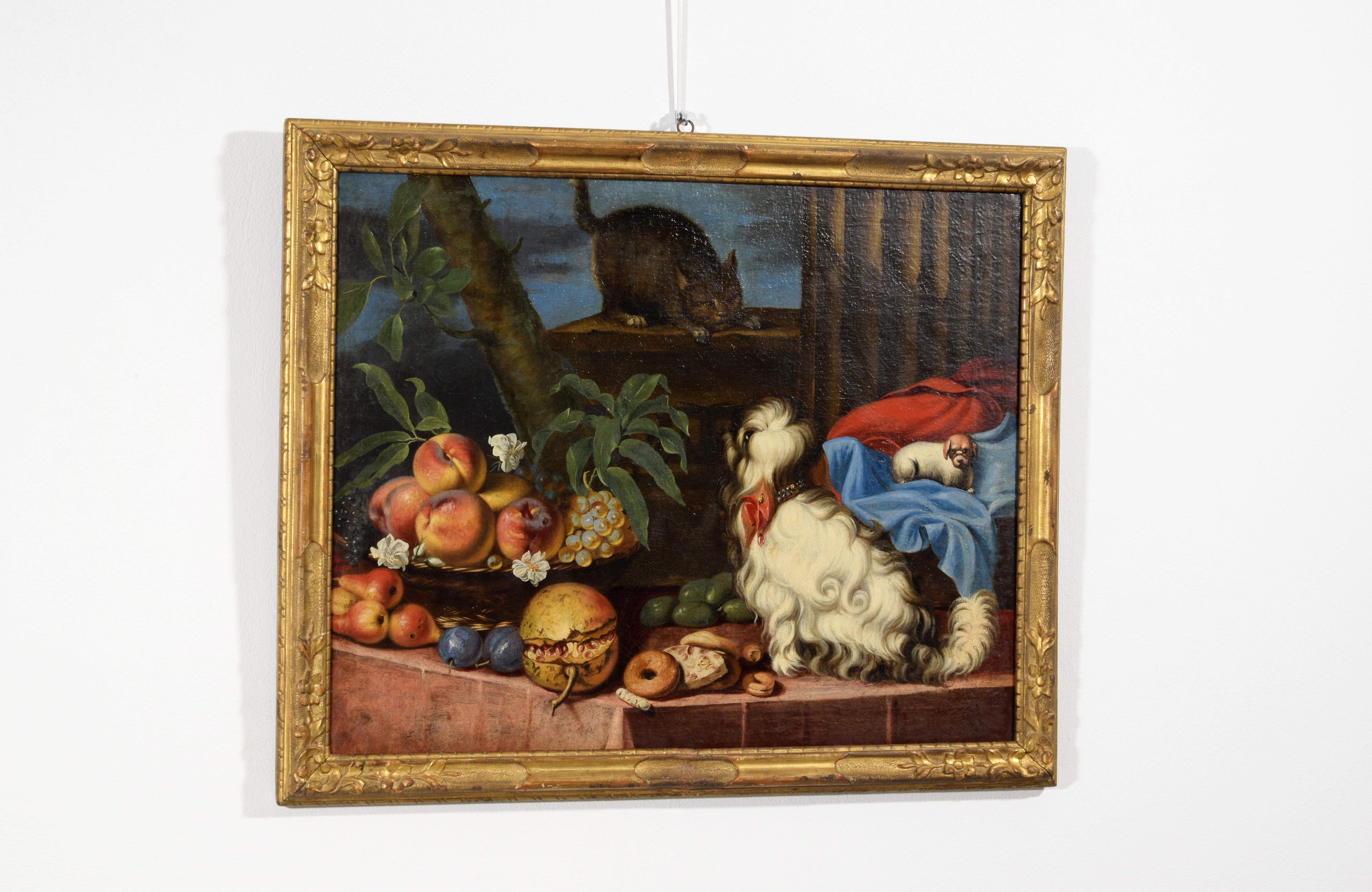 Italienisches Gemälde des 17. Jahrhunderts mit Stillleben mit Obst, Hunden und Katze (Leinwand) im Angebot