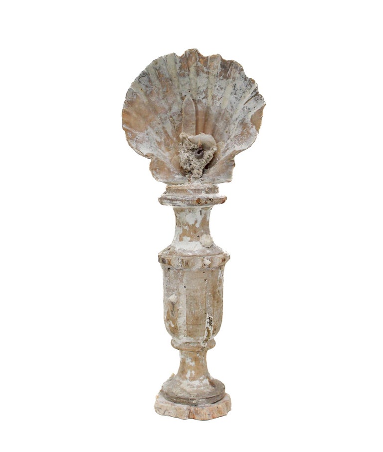 17th century Italian vase with a chesapecten shell, crystal point, and fossil shells on a petrified wood base.

This fragment is from a church in Florence. It was found and saved from the historic flooding of the Arno River in 1966.

The piece