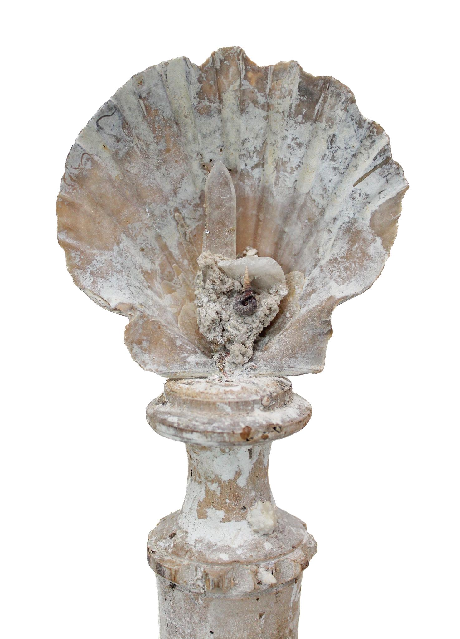 Vase „Blumenfragment“ aus dem 17. Jahrhundert mit Muschel- und Kristallpunkt aus Chesapecten (Rokoko) im Angebot