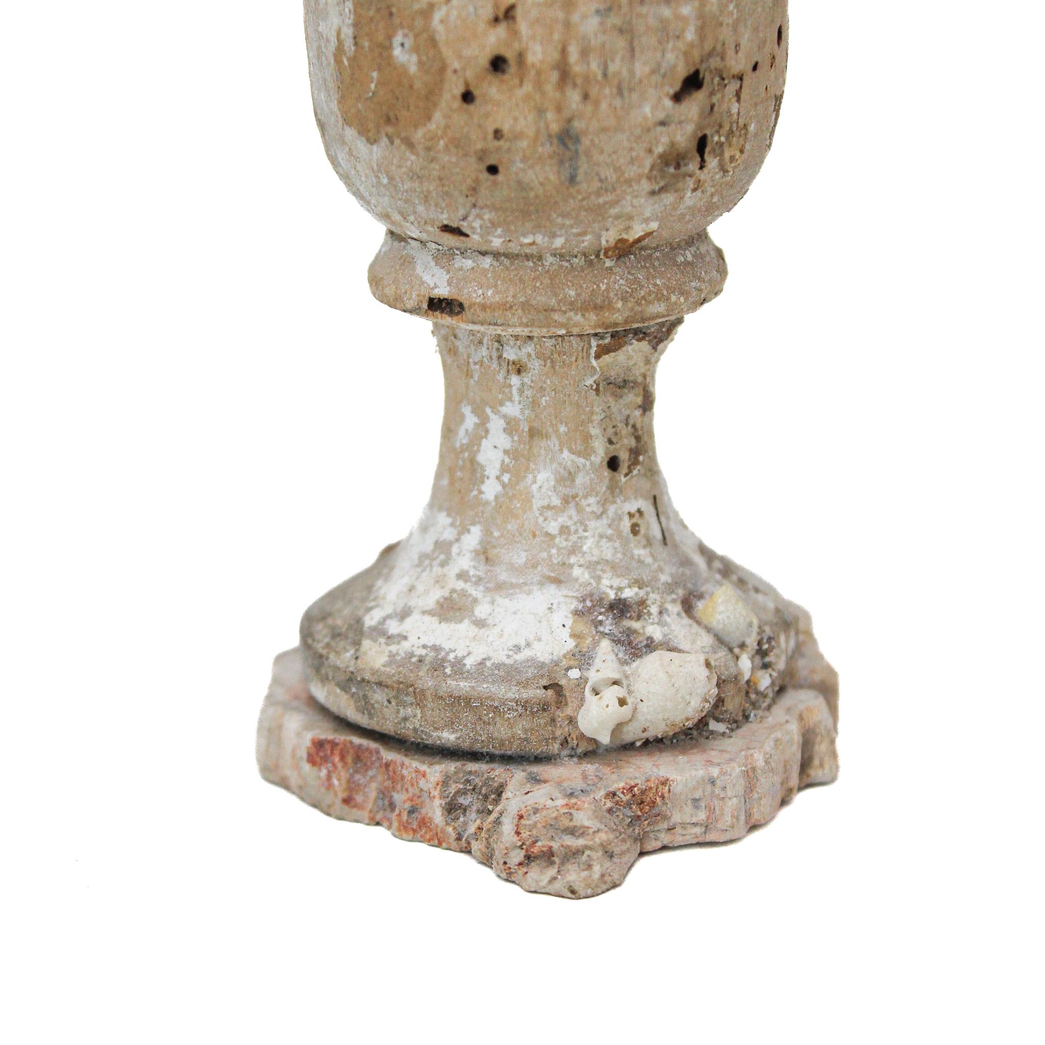 Vase „Blumenfragment“ aus dem 17. Jahrhundert mit Muschel- und Kristallpunkt aus Chesapecten (Italienisch) im Angebot