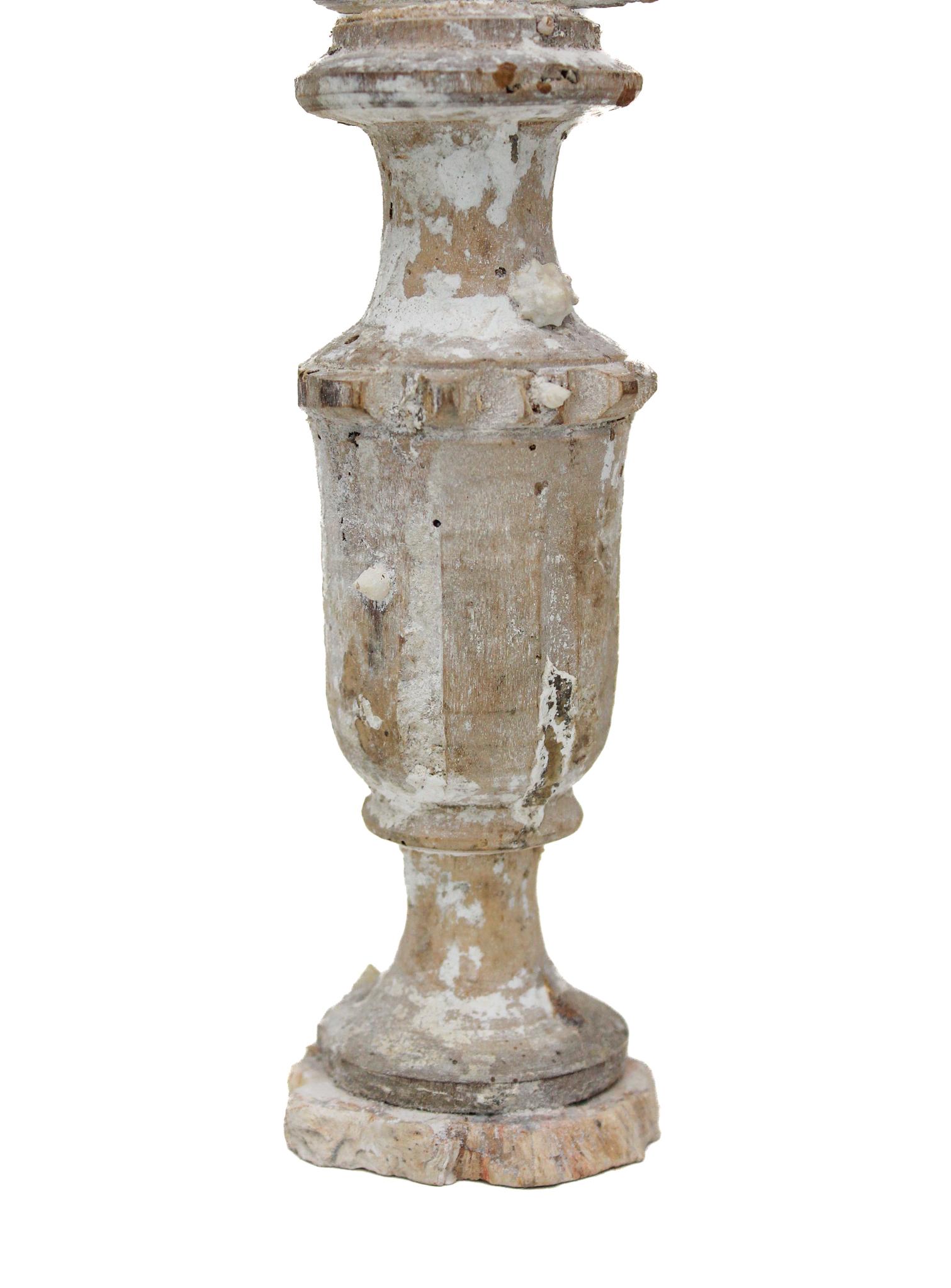 Vase „Blumenfragment“ aus dem 17. Jahrhundert mit Muschel- und Kristallpunkt aus Chesapecten (Handbemalt) im Angebot
