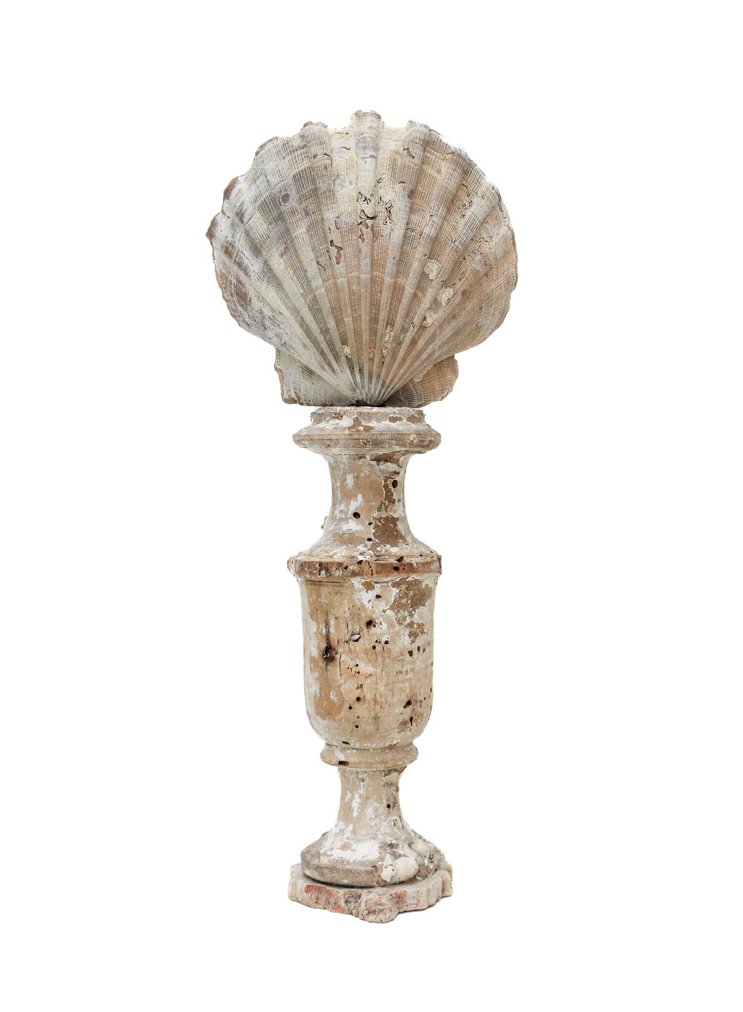 17th Century 'Florence Fragment' Vase with a Chesapecten Shell & Crystal Point In Distressed Condition For Sale In Dublin, Dalkey