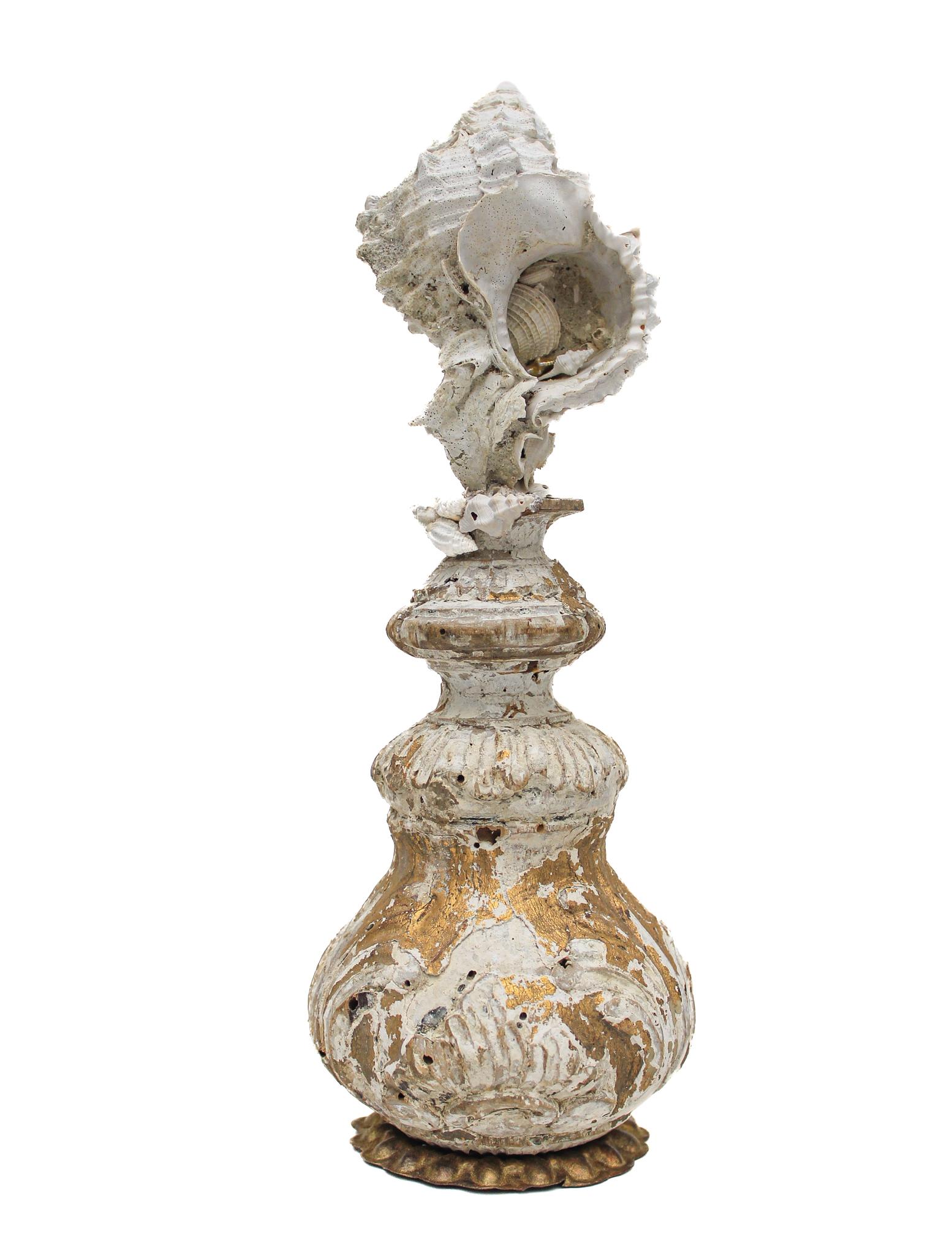 Rococo 17th Century Italian Vase with a Hystrivasum Shell on an Antique Metal Stand