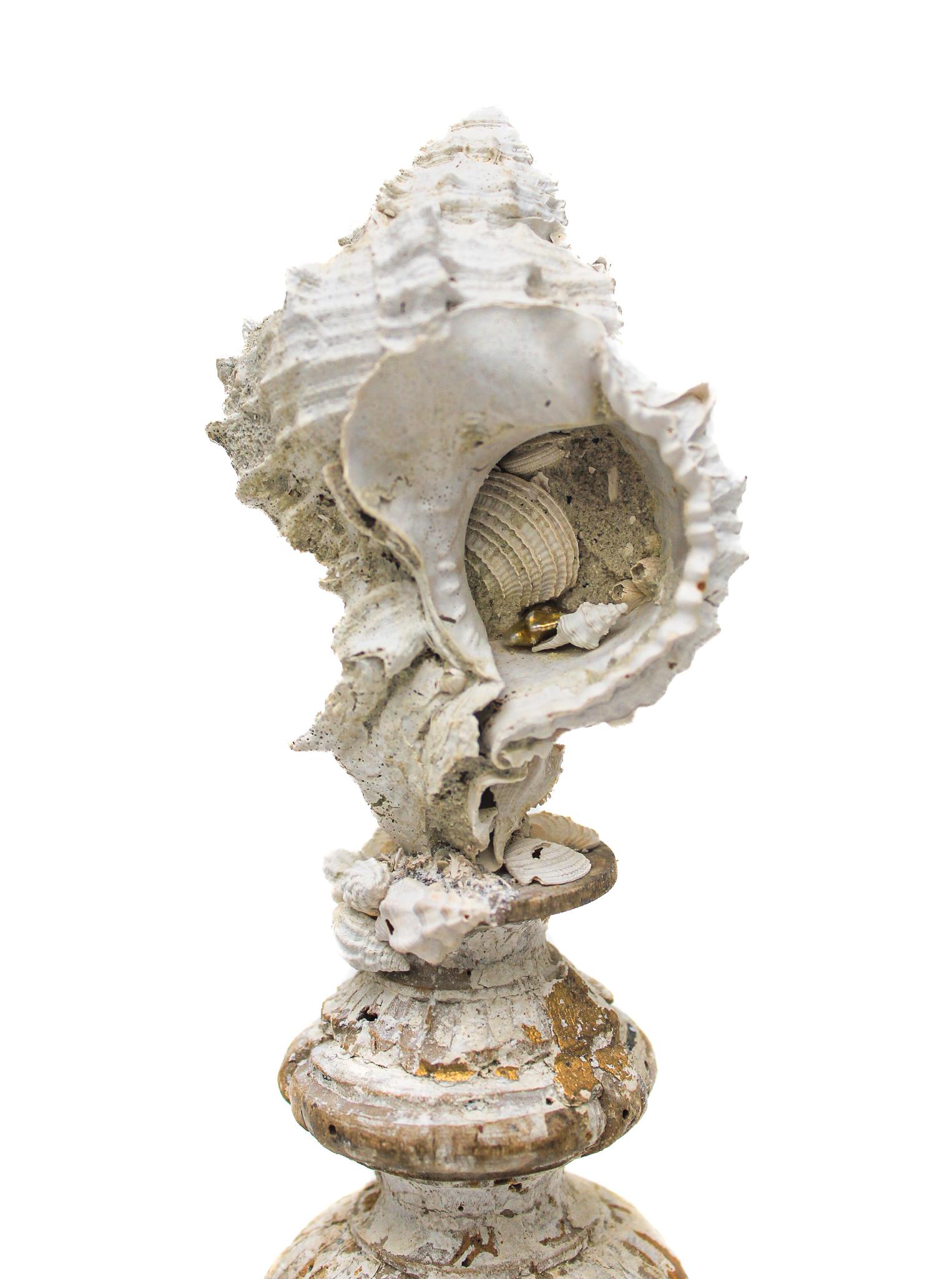 Hand-Carved 17th Century Italian Vase with a Hystrivasum Shell on an Antique Metal Stand