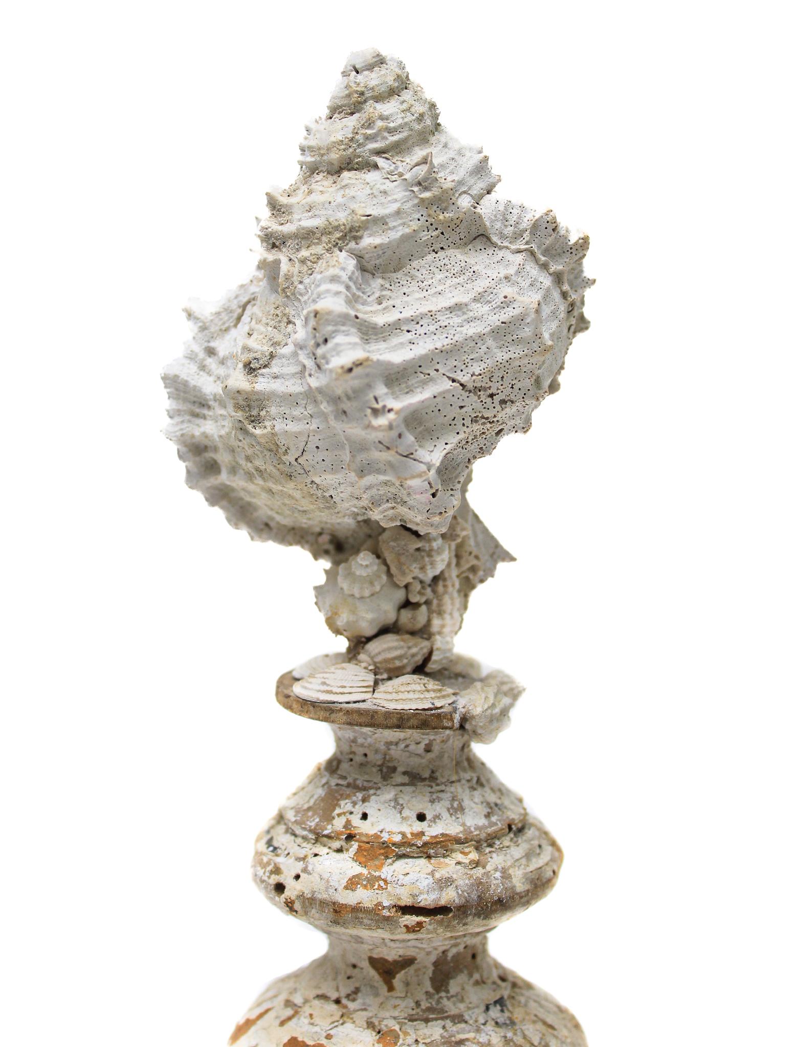 17th Century Italian Vase with a Hystrivasum Shell on an Antique Metal Stand In Fair Condition In Dublin, Dalkey
