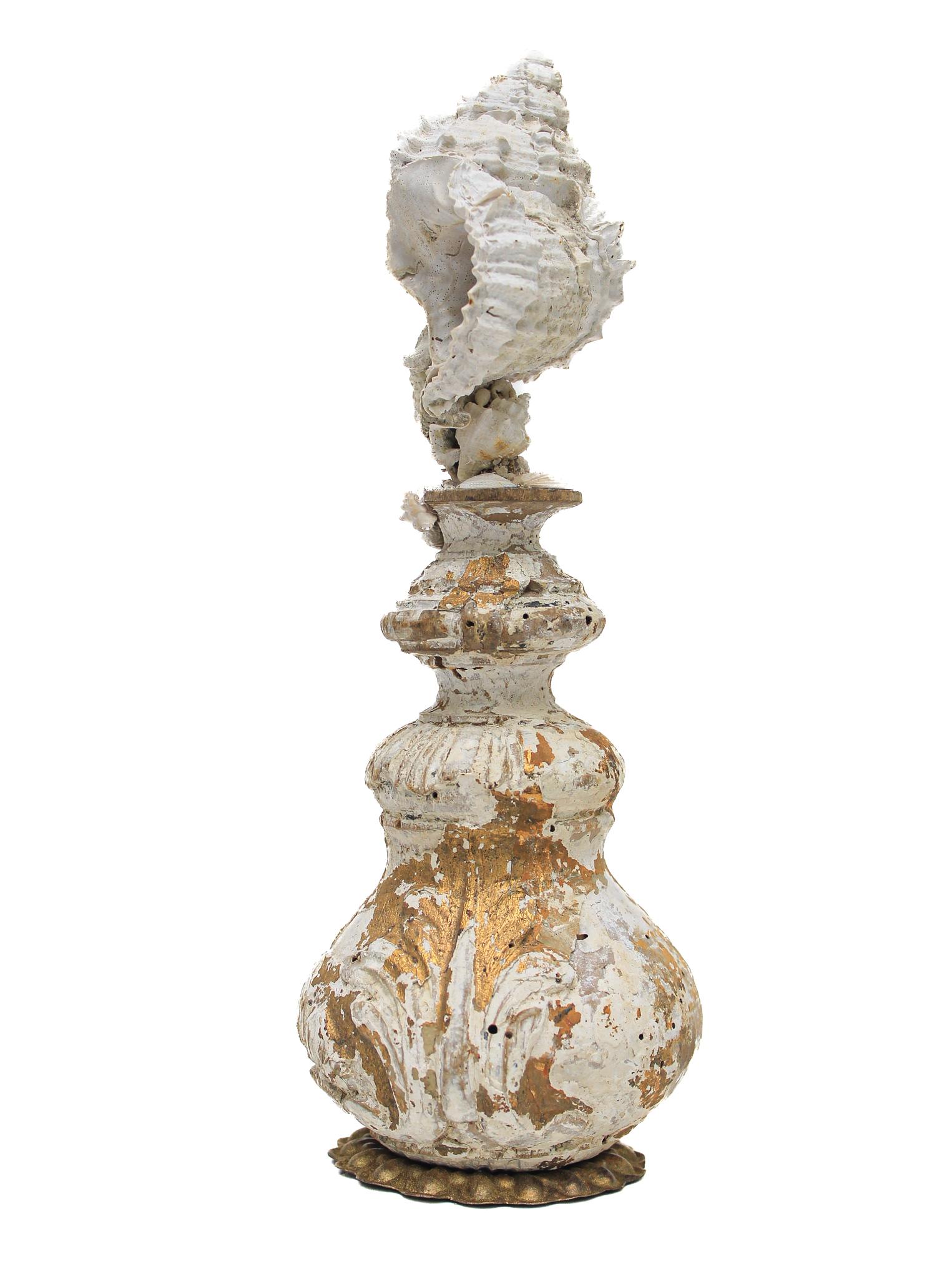 17th Century Italian Vase with a Hystrivasum Shell on an Antique Metal Stand 1