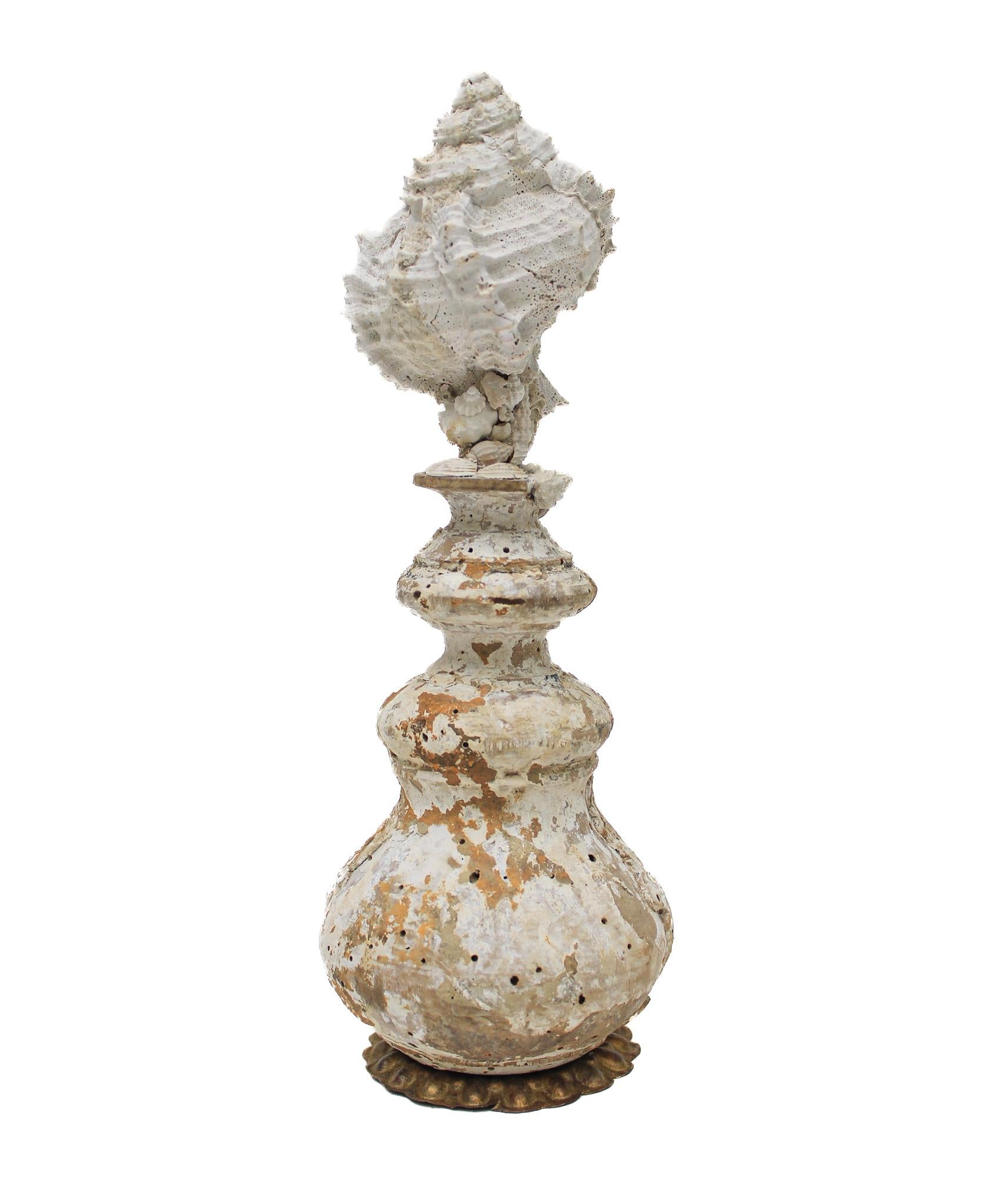 17th Century Italian Vase with a Hystrivasum Shell on an Antique Metal Stand 2