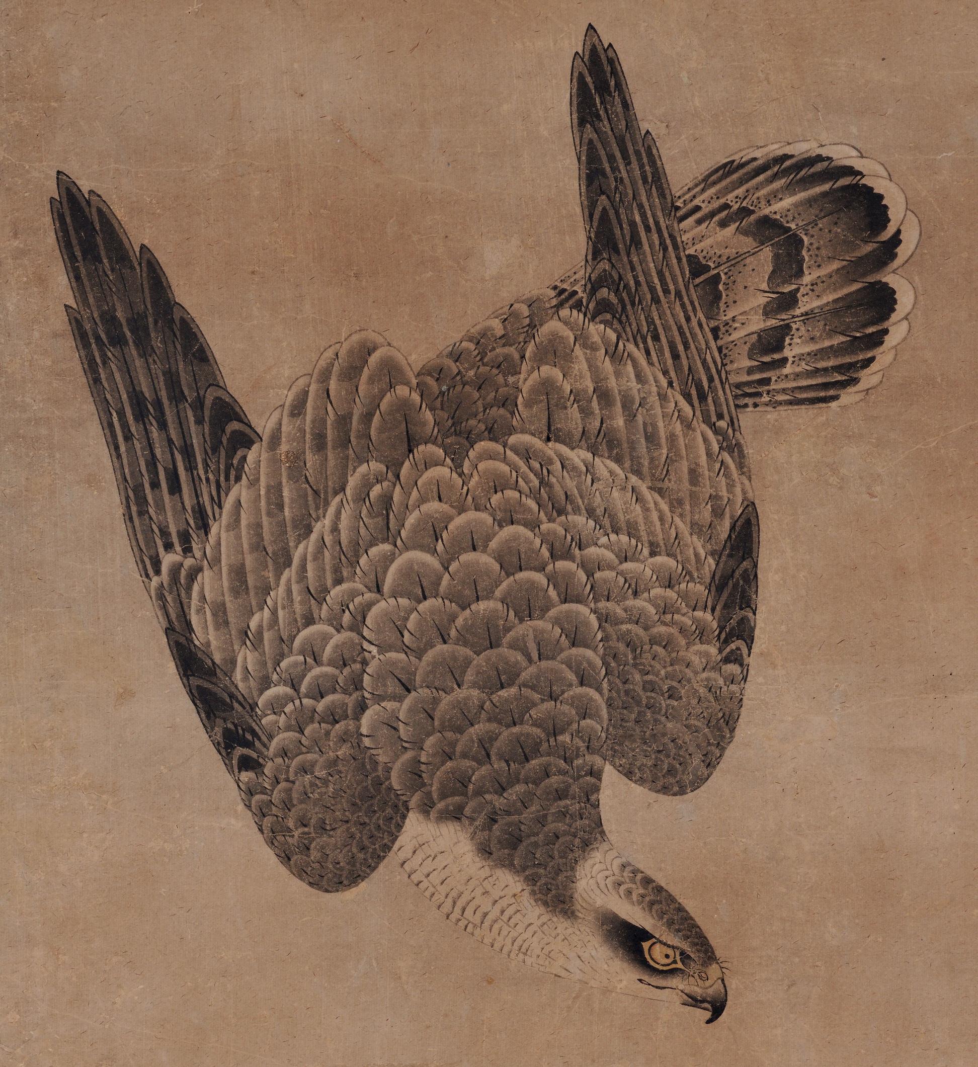 Mitani Toshuku (1577-1654)
“Falcon”
Wall panel, ink and light color on paper.
Upper seal: Mitani
Lower seal: Toshuku
Dimensions:
Each: 118.5 cm x 51 cm x 2 cm (46.5” x 20” x .75”)

Individual falcon paintings by Mitani Toshuku (1577-1654),
