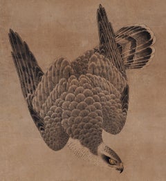 Japanisches japanisches Gemälde, gerahmte Tafel, Falcon von Mitani Toshuku, 17. Jahrhundert