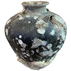 17th Century Large Barnacle Covered Jug, Thailand