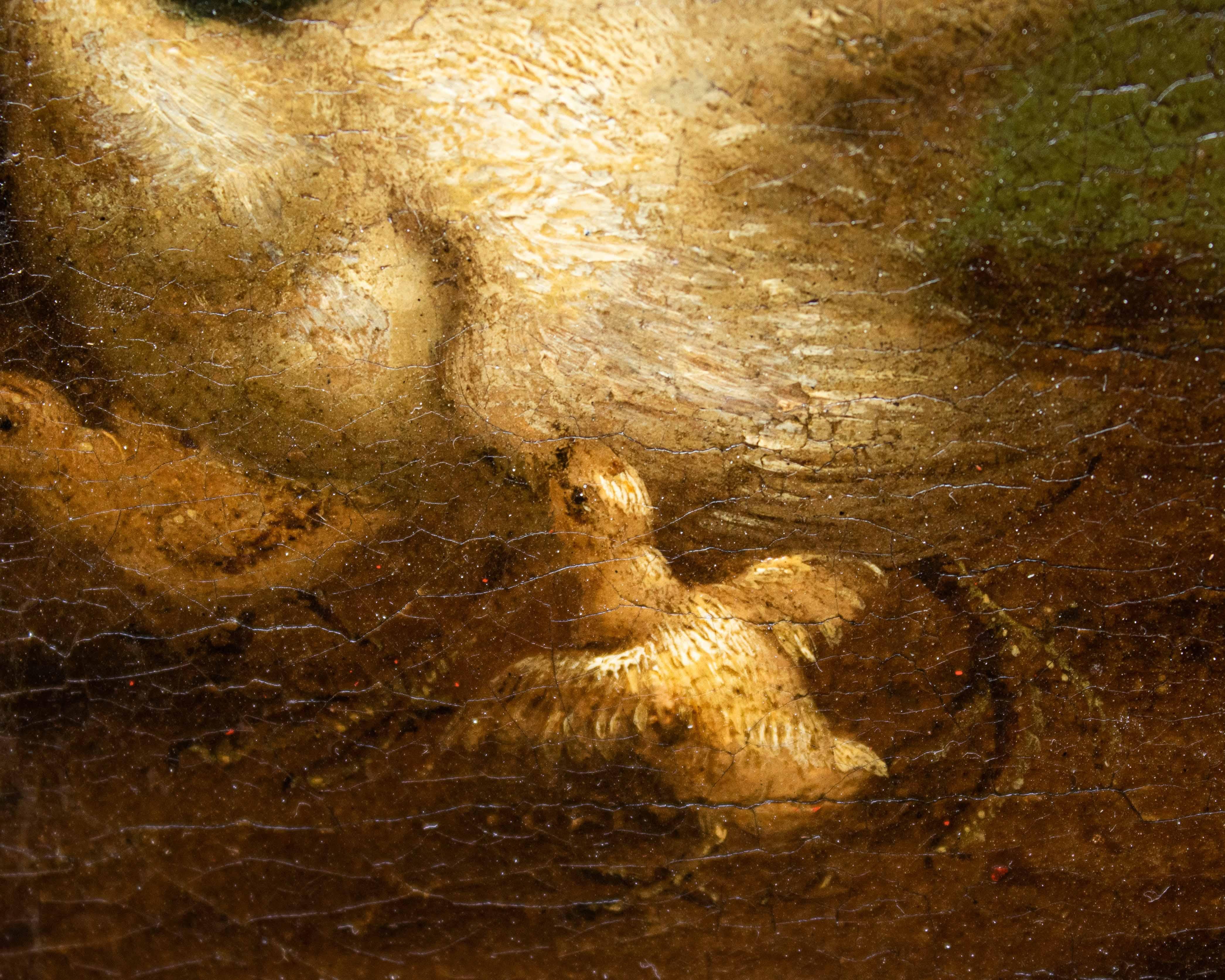 17. Jahrhundert Live Nature Paar Gemälde Öl auf Leinwand Flemish School im Angebot 9