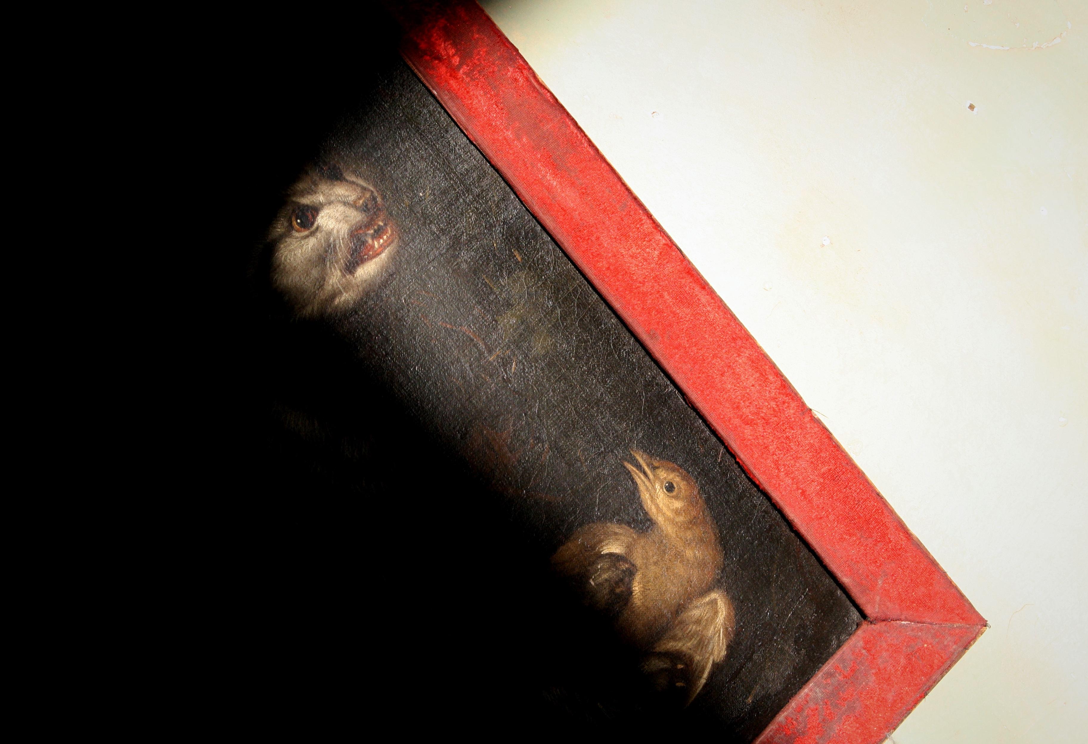 17th century cat painting