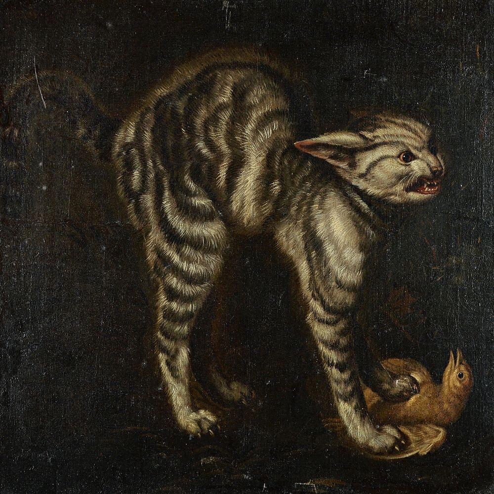 A dark and striking image of a snarling cat toying with a bird 

17th century in age, European in origin, some minor abrasions to the painted surface.

The painting sits on a lap jointed stretcher, and has been relined within its life. The frame