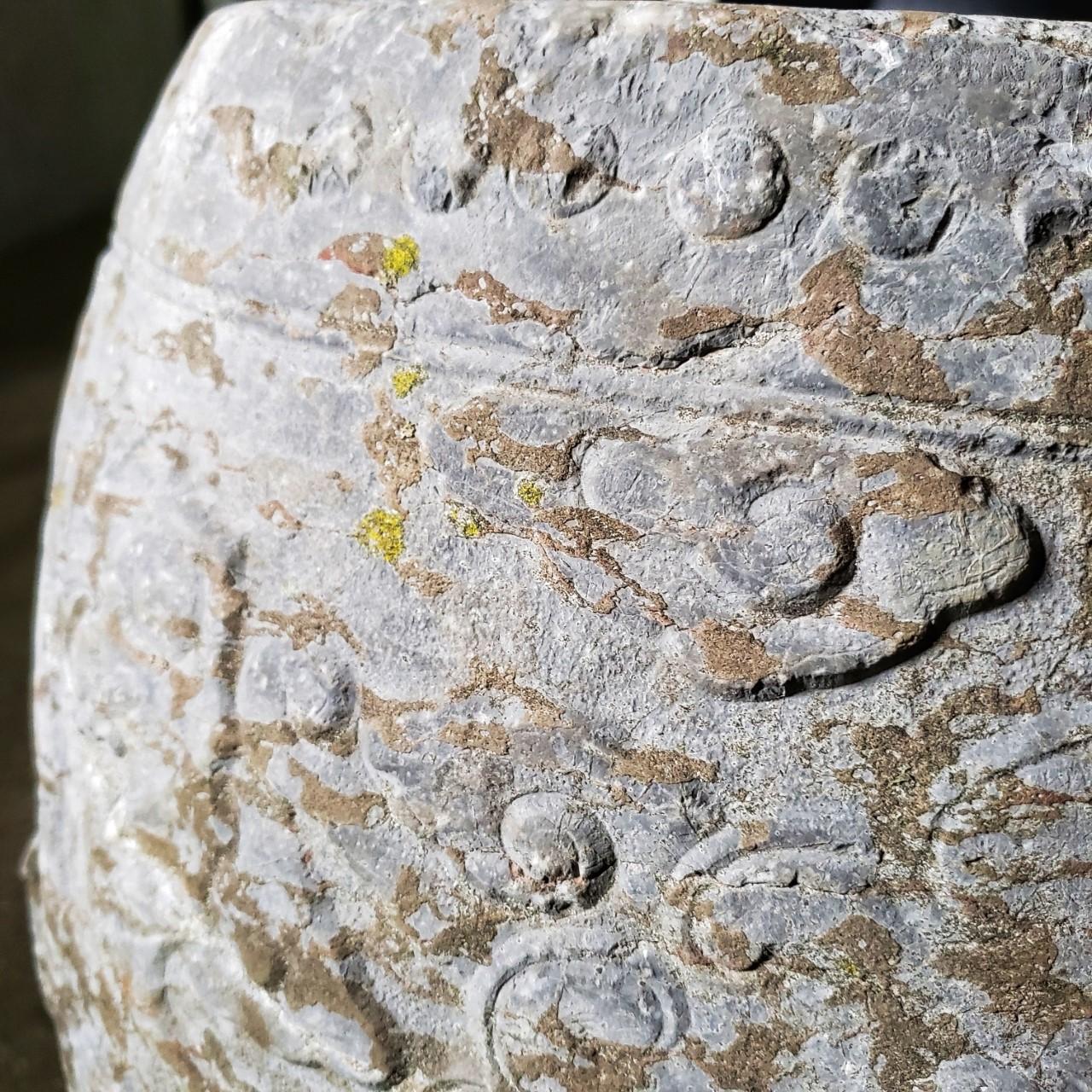 medieval dynasty barrel