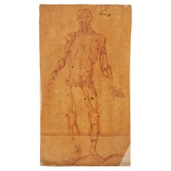 Antique 17th Century Old Master Anatomical Skeleton Drawing on Laid Paper