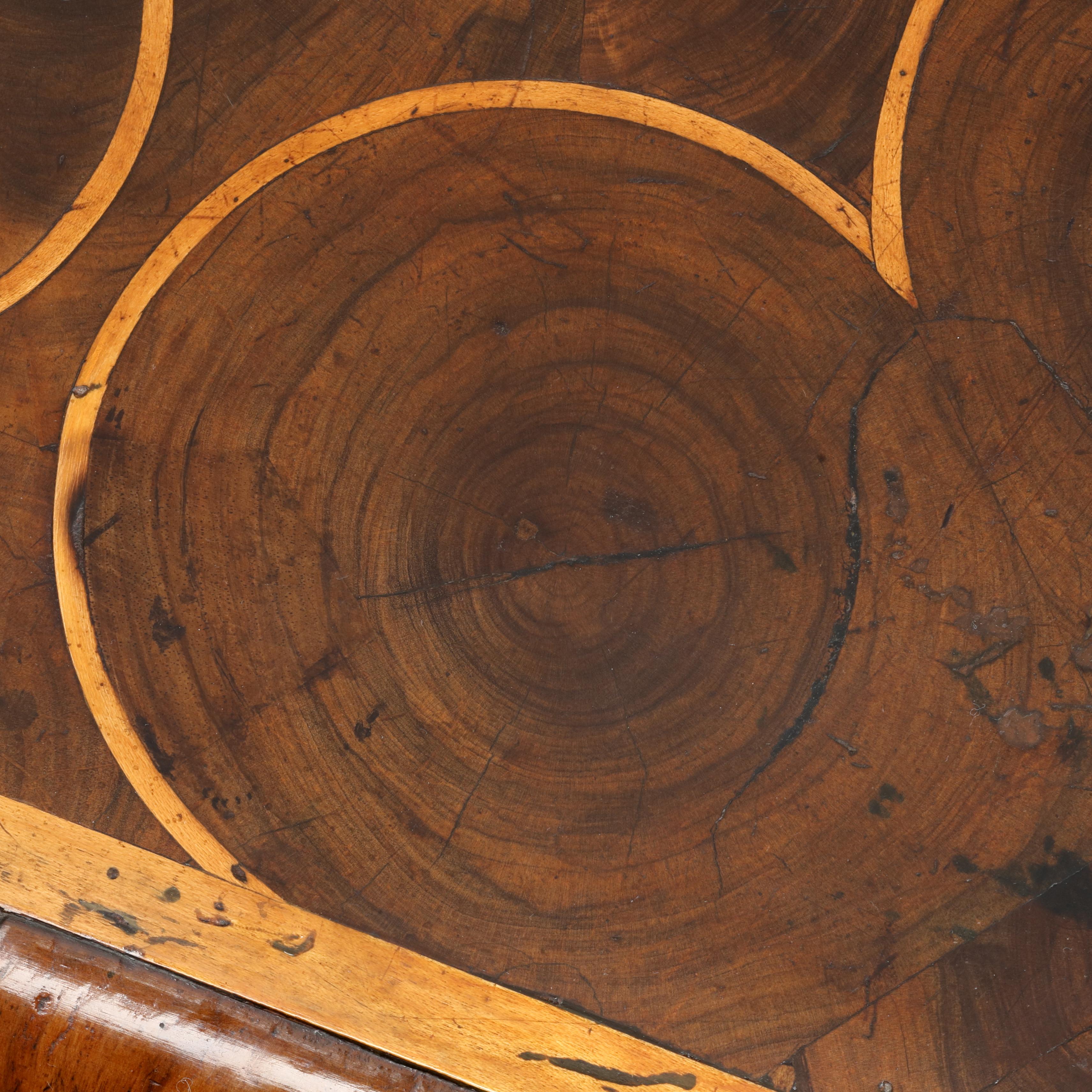 Olive 17th Century Oyster Laburnum Low Chest of drawers For Sale