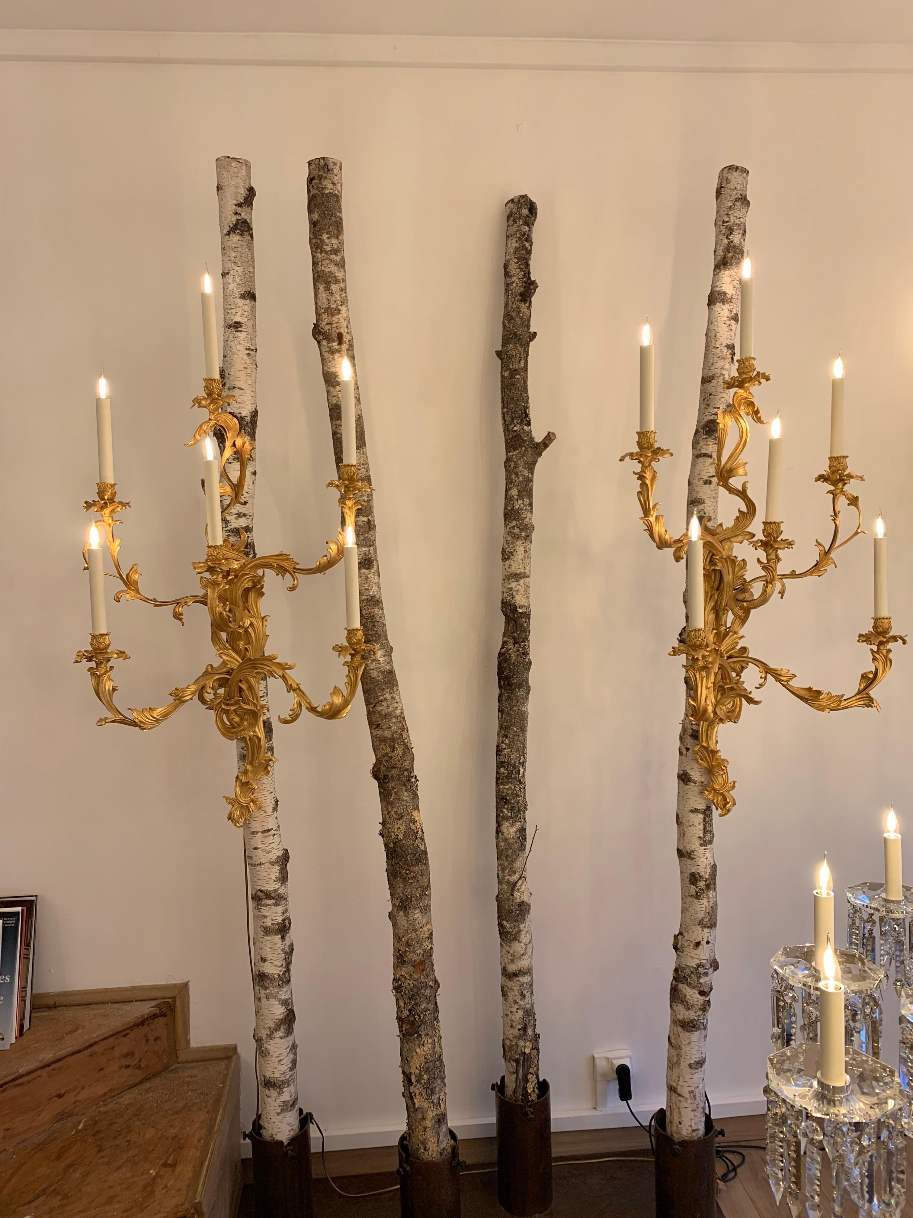 Gold 17th Century Pair of 6-Light Gilt Bronze Wall Lights Inspired by J.Caffieri For Sale