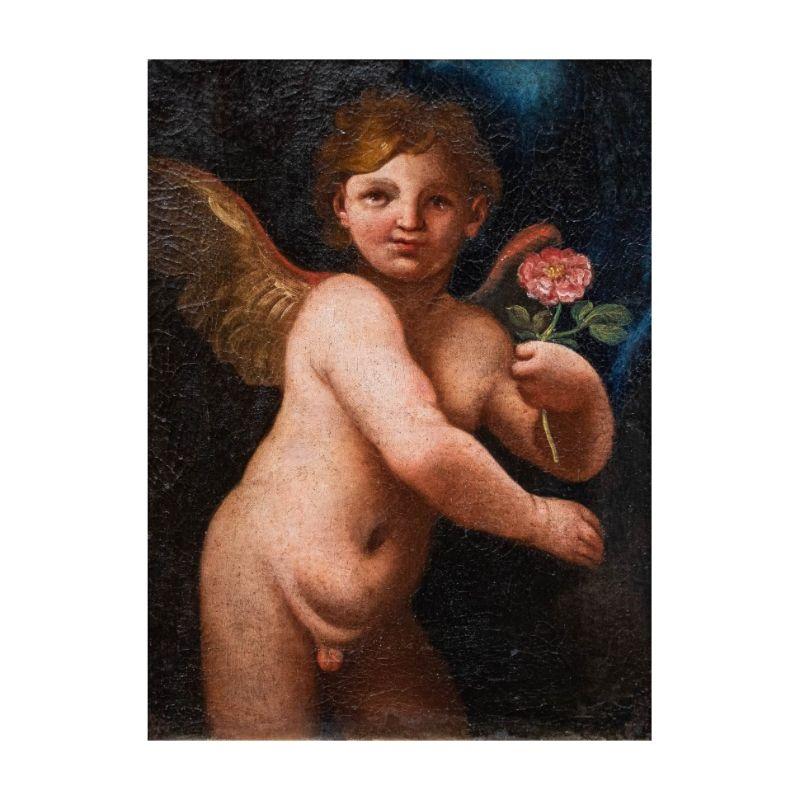 Emilian school, 17th century 

Putto with rose

Oil on canvas, 43.5 x 32 cm - with frame 45 x 32.5 cm

The figure of the putto, when equipped with specific attributes, lends itself to multiple iconological meanings. The present holds a